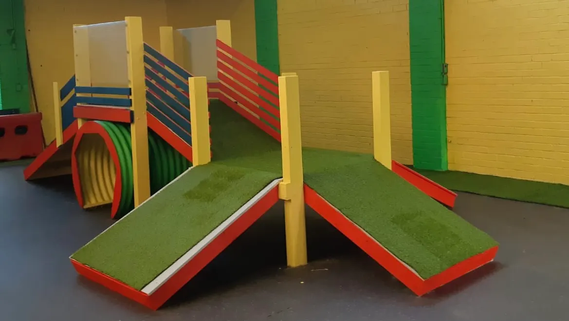 Dog Play Centre dog park