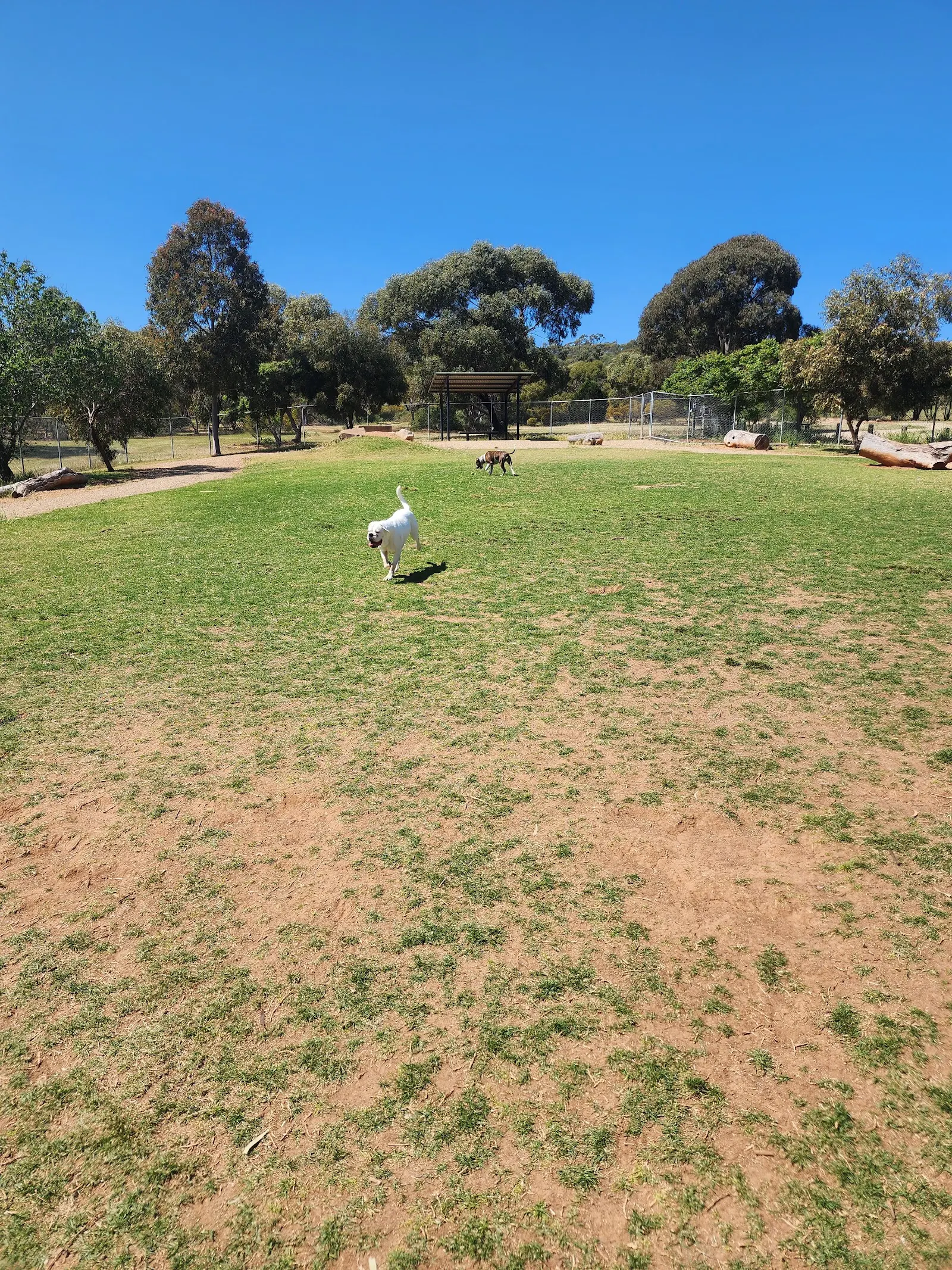 Jo Gapper Fenced Dog Park dog park