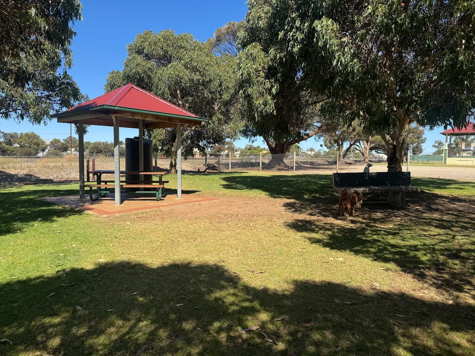 Tailem Bend Dog Park dog park