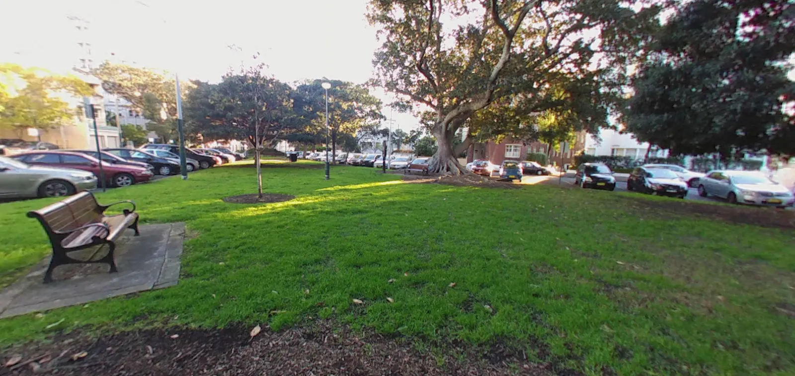 Macleay Reserve dog park