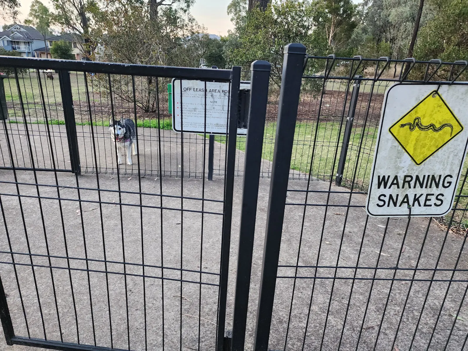 Dirrabari Reserve Fenced Dog Park, Pemulwuy
