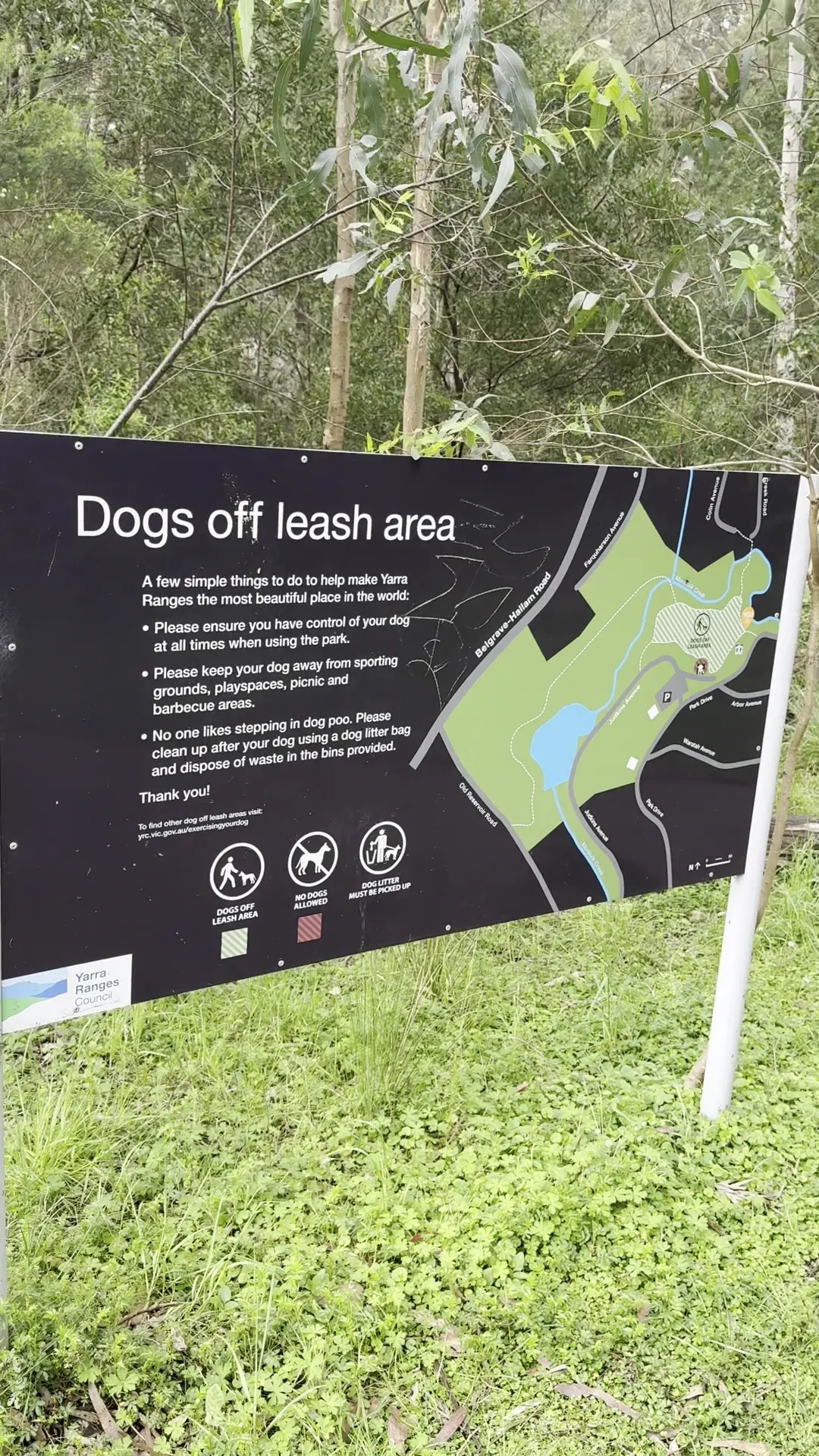 Belgrave Lake Park Dog Off Leash Area dog park