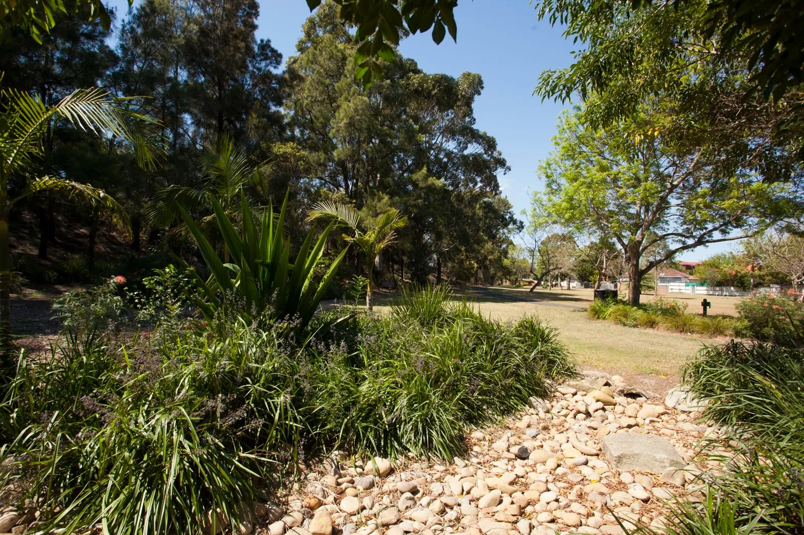 Southern Cross Drive Reserve dog park