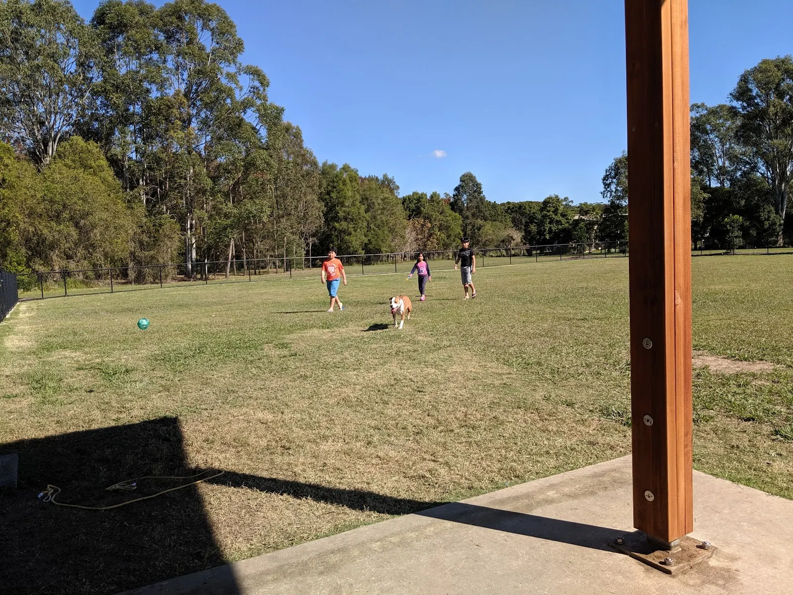 Mervyn Kenman Park Fenced Dog Park dog park