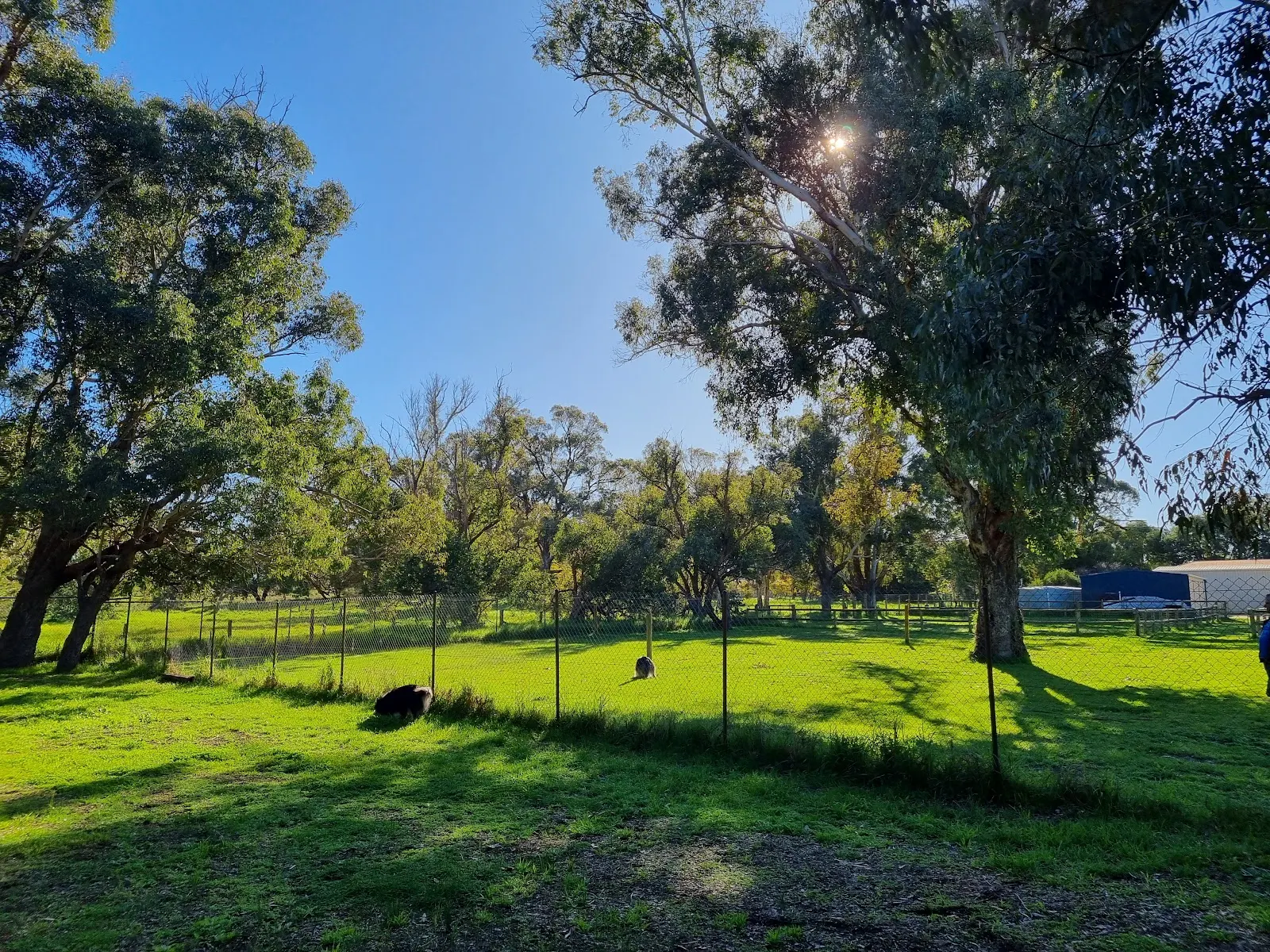 Kimz Dog Park - Private - SOR dog park