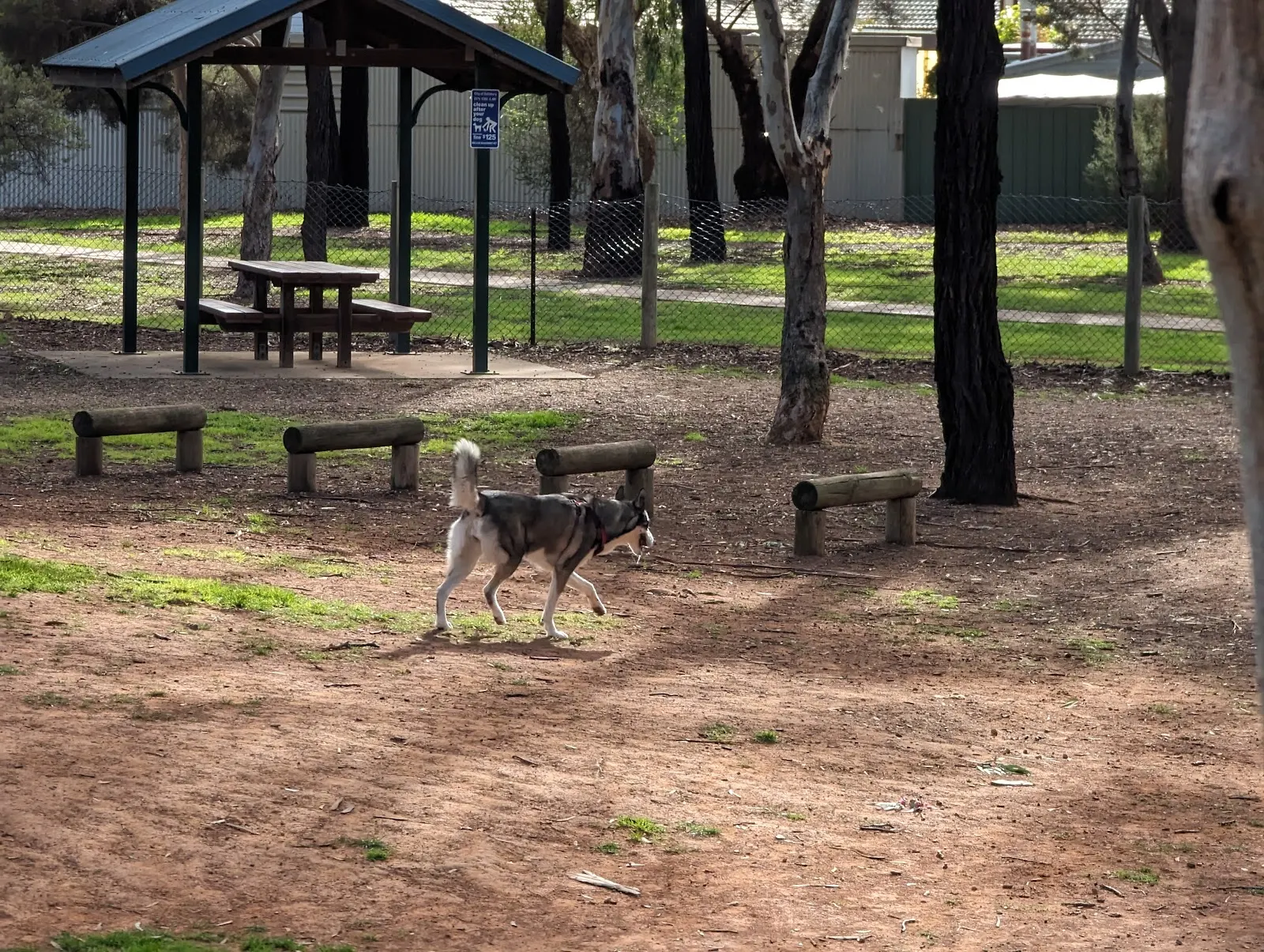 Baltimore Reserve Fenced Dog Park dog park