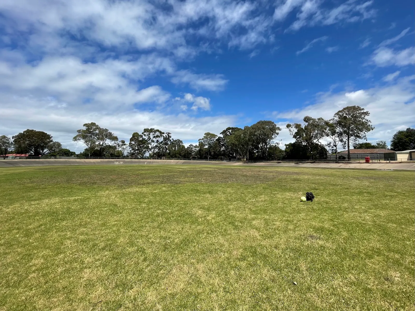 Sale The Dog Park dog park