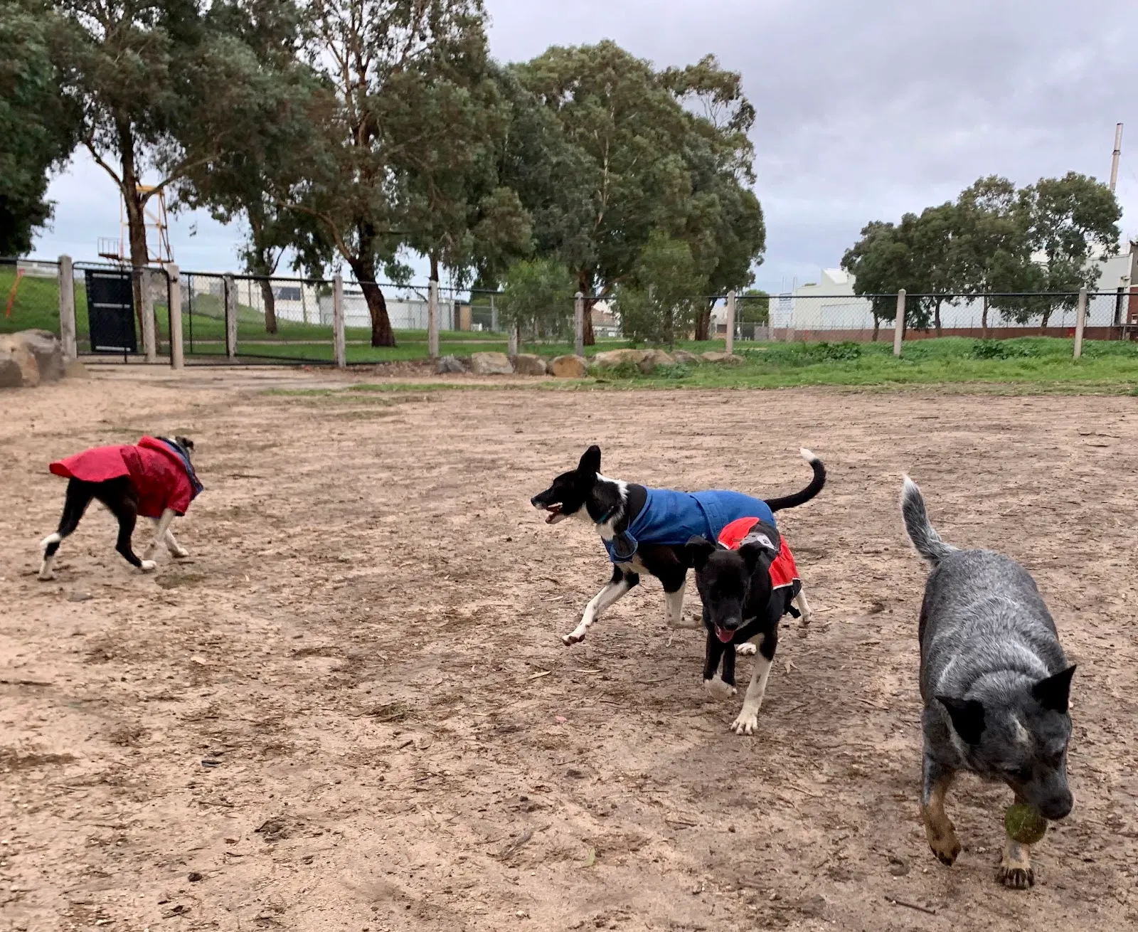 Richards Reserve Fenced Dog Park dog park