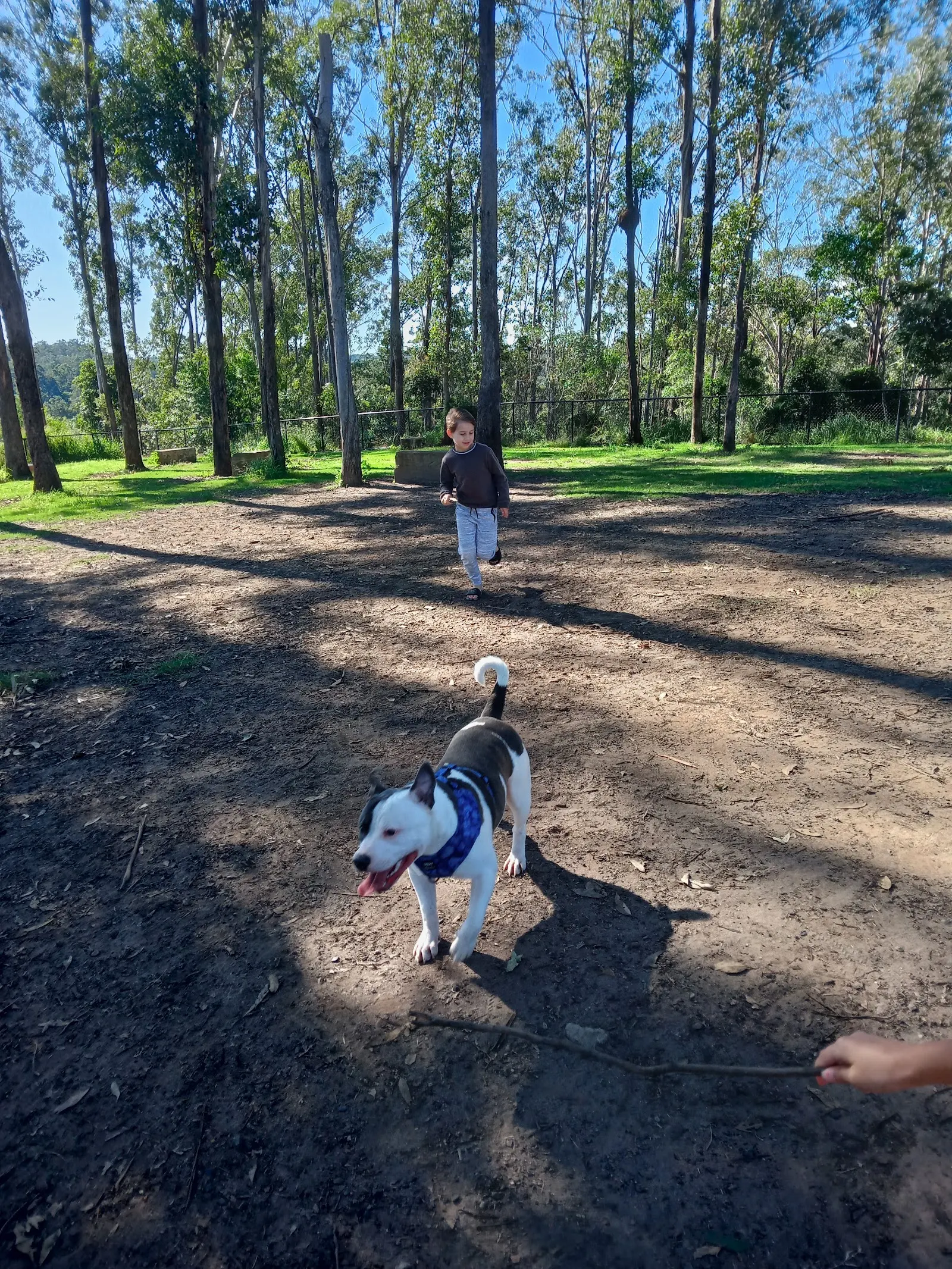 Paws Park dog park