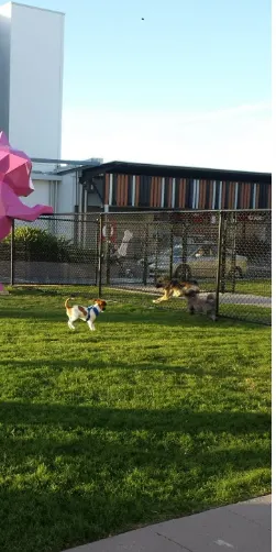 Sirius Fenced Dog Park dog park