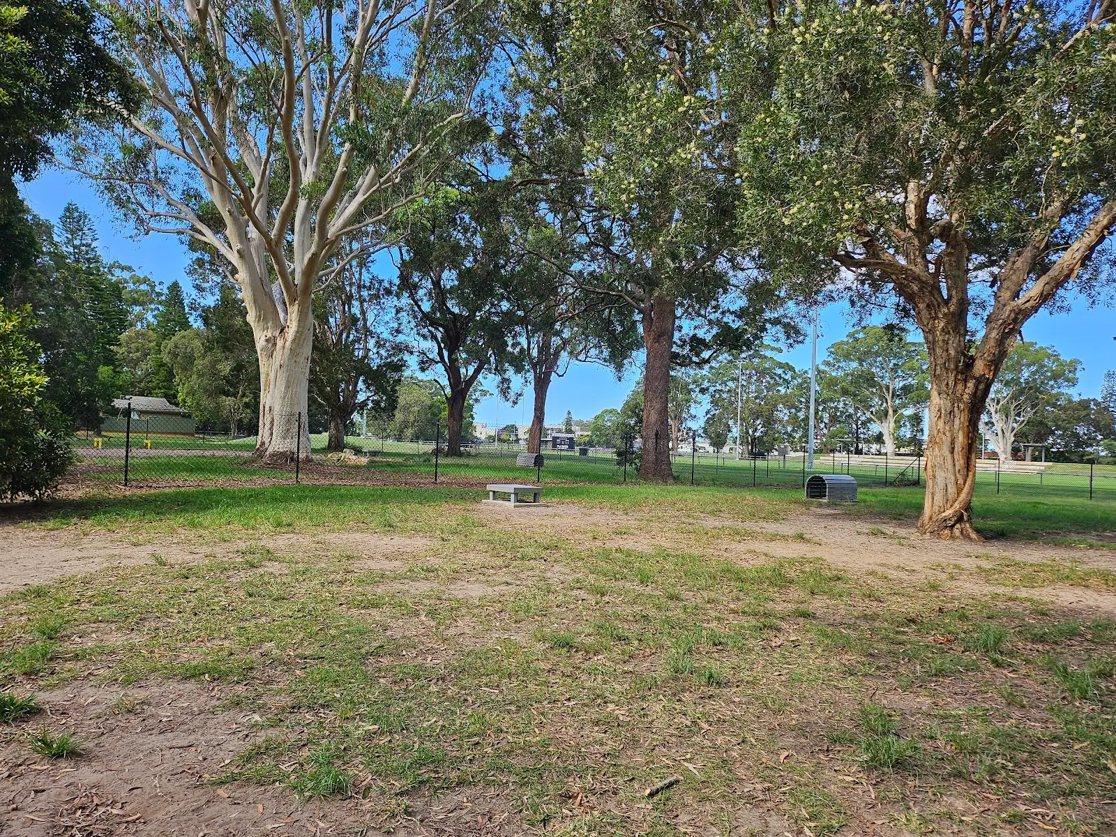 Dog Friendly Park dog park
