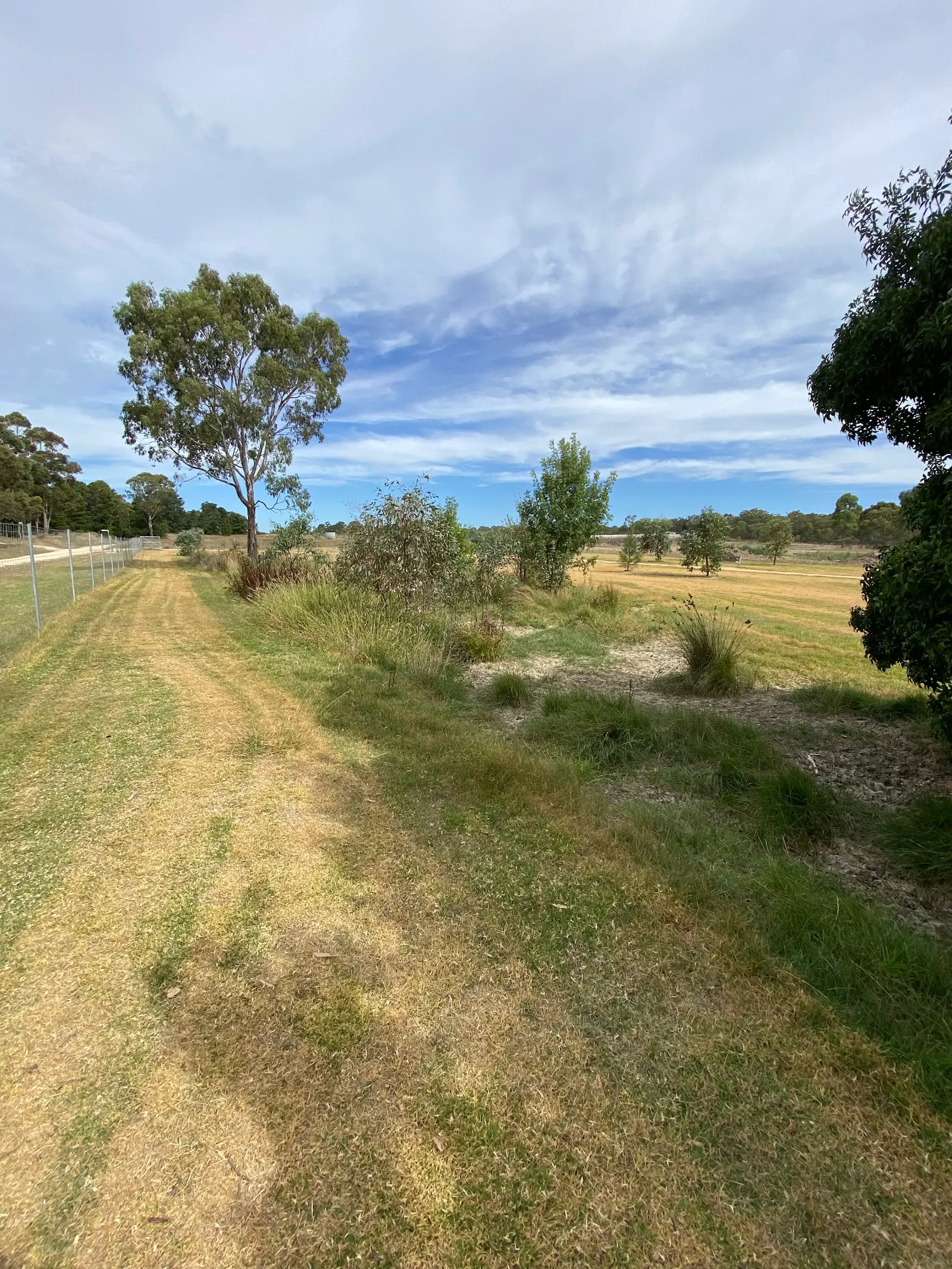 Heathcote Dog Park dog park