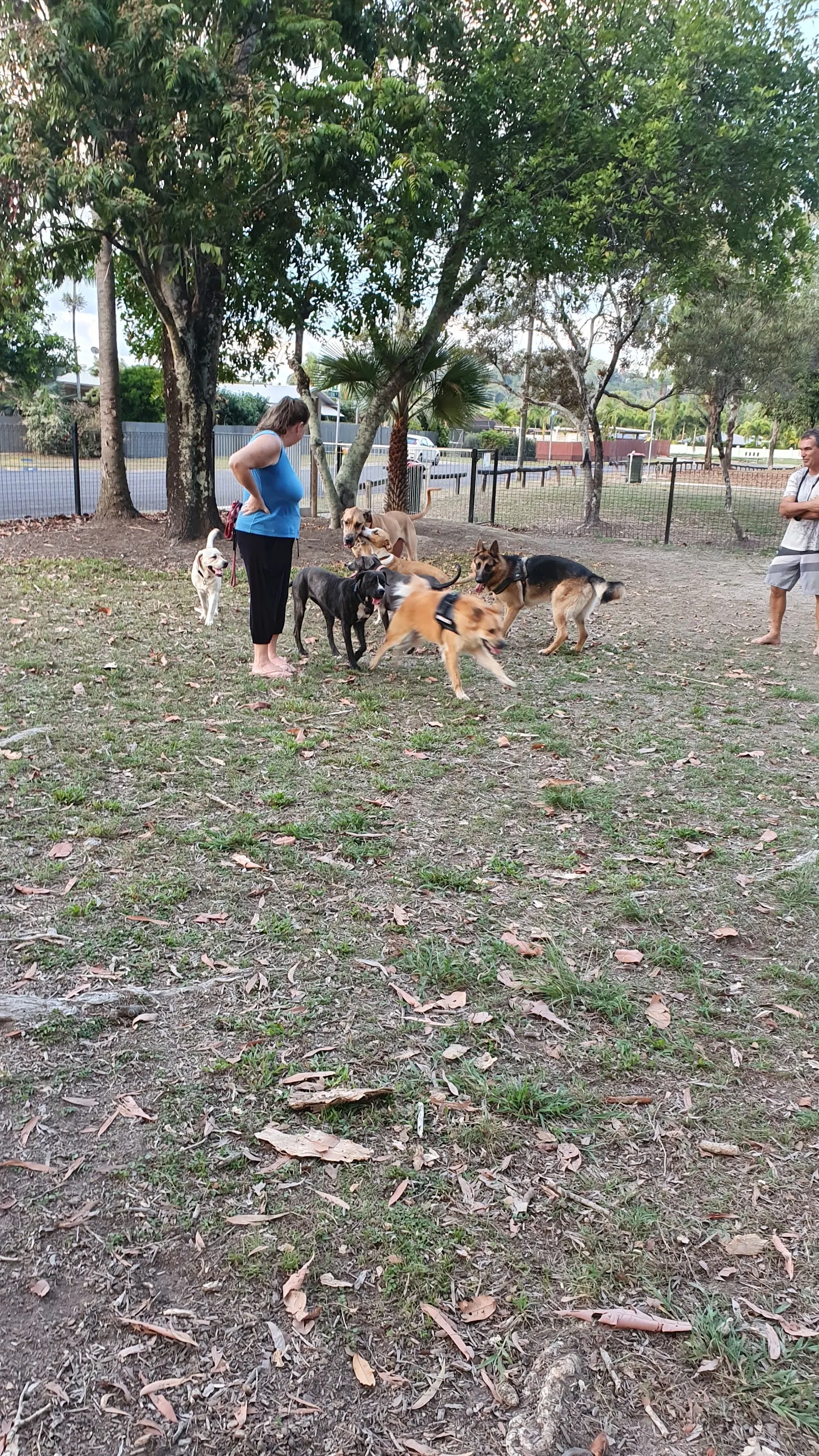 Sunbird Park Fenced Dog Park dog park