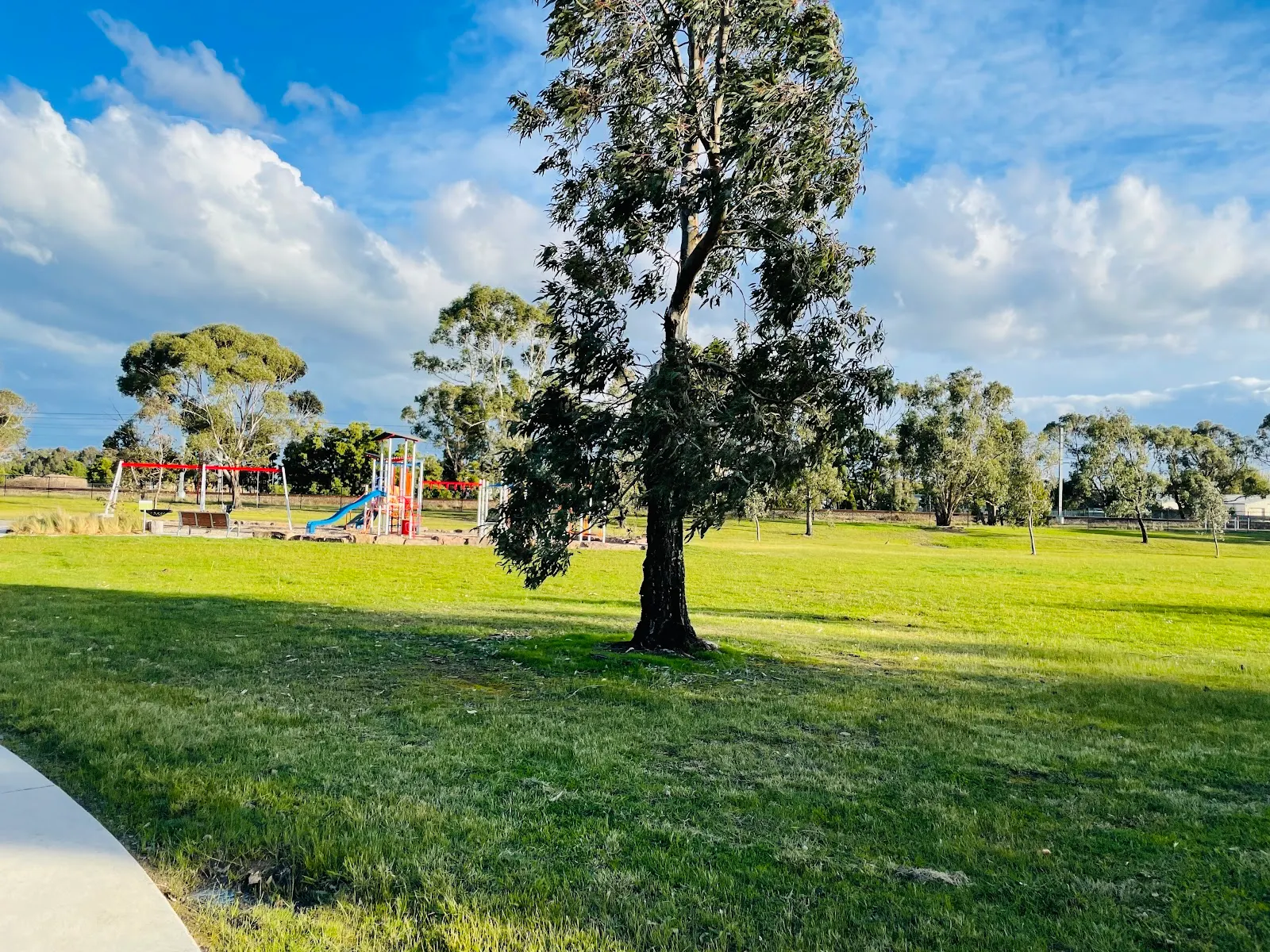 Hammerwood Green Reserve Dog Off Leash Area dog park