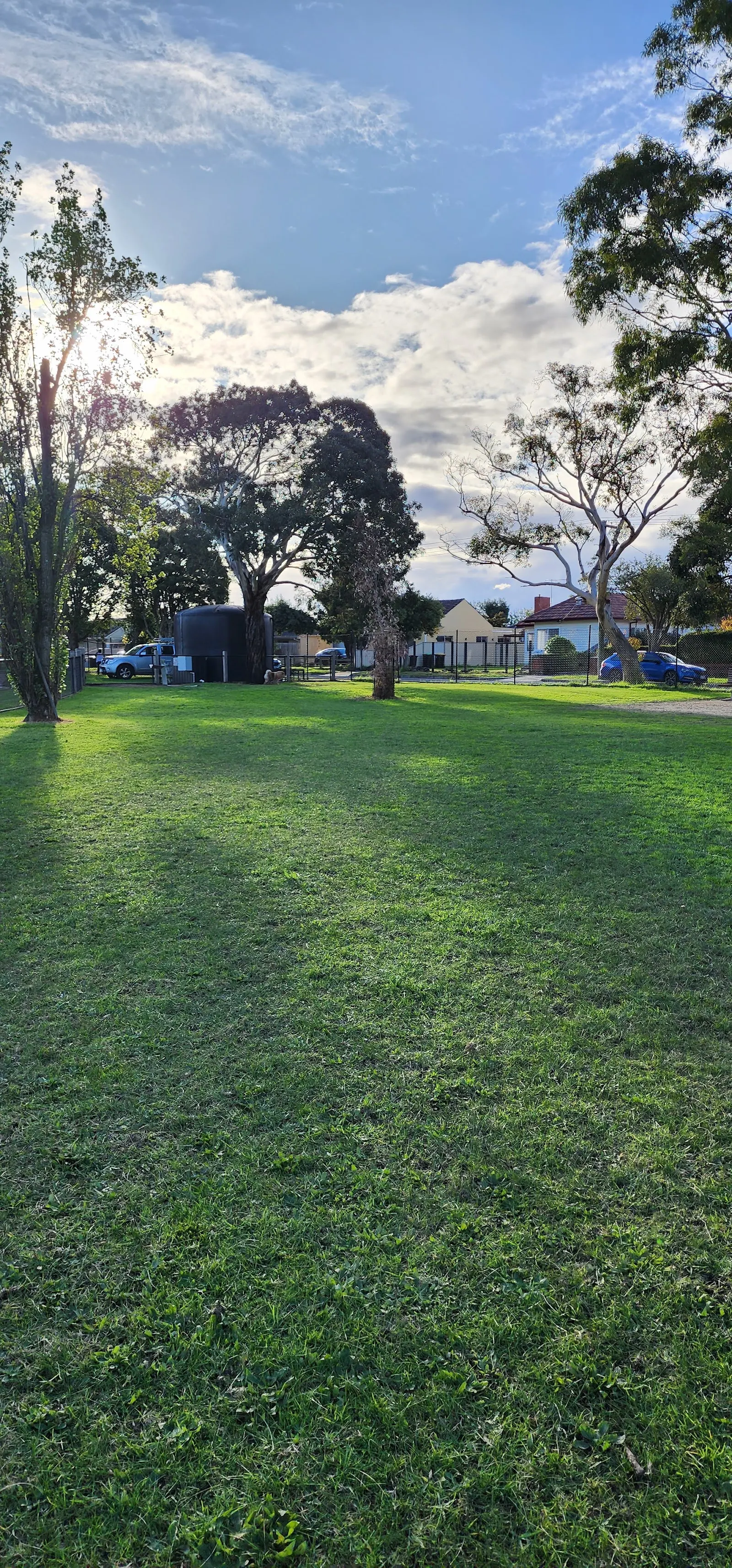 Springvale Reserve Fenced Dog Park dog park