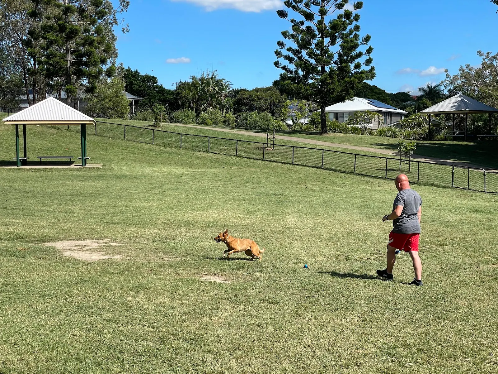 Keralgerie Park Fenced Dog Park dog park