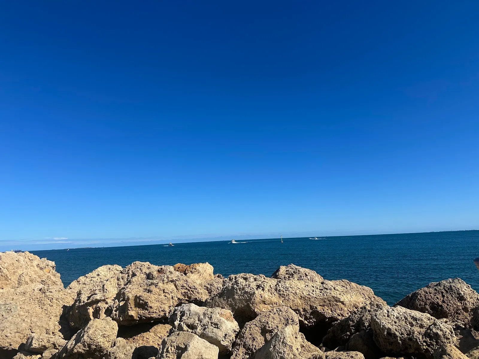 Fremantle Groyne dog park
