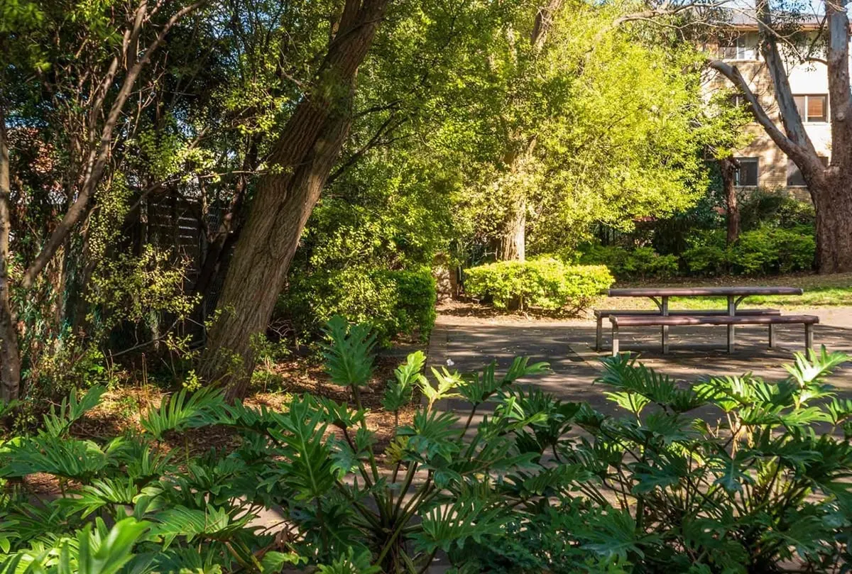 Mrs Isabella Hills Rest Area dog park