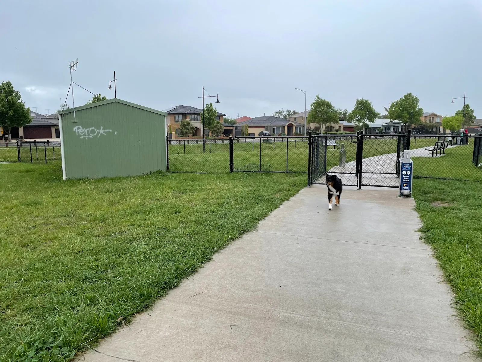 Balmoral Park Fenced Dog Park dog park