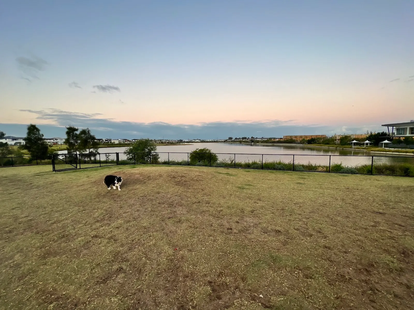 Capestone Dog Park dog park
