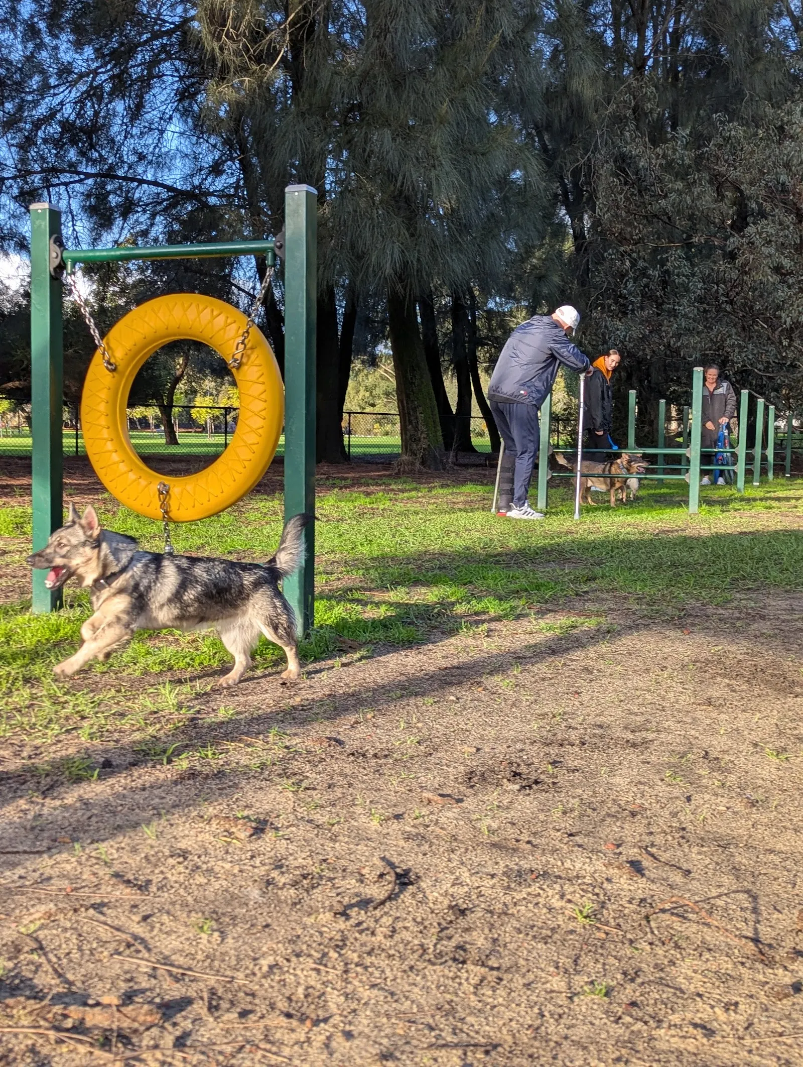 GO Edwards Park Fenced Dog Park dog park