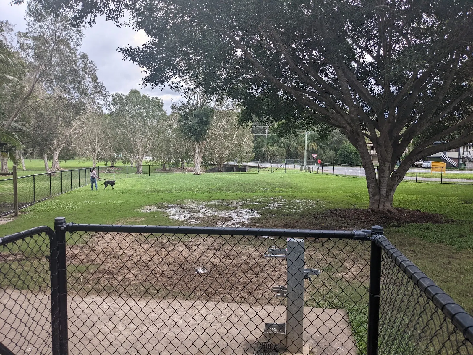 Penson Park Fenced Dog Park dog park