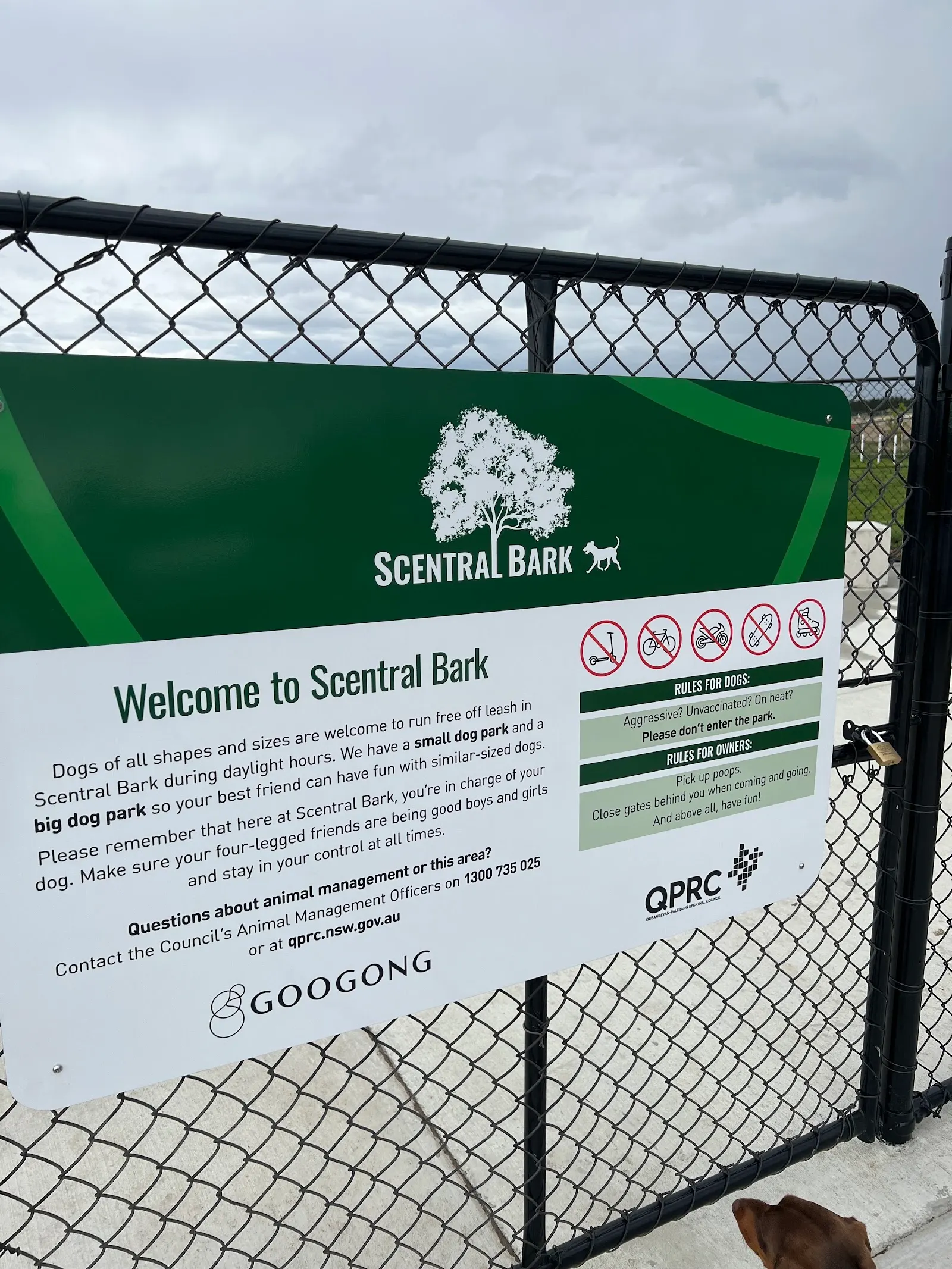 Scentral Bark Fenced Dog Park dog park