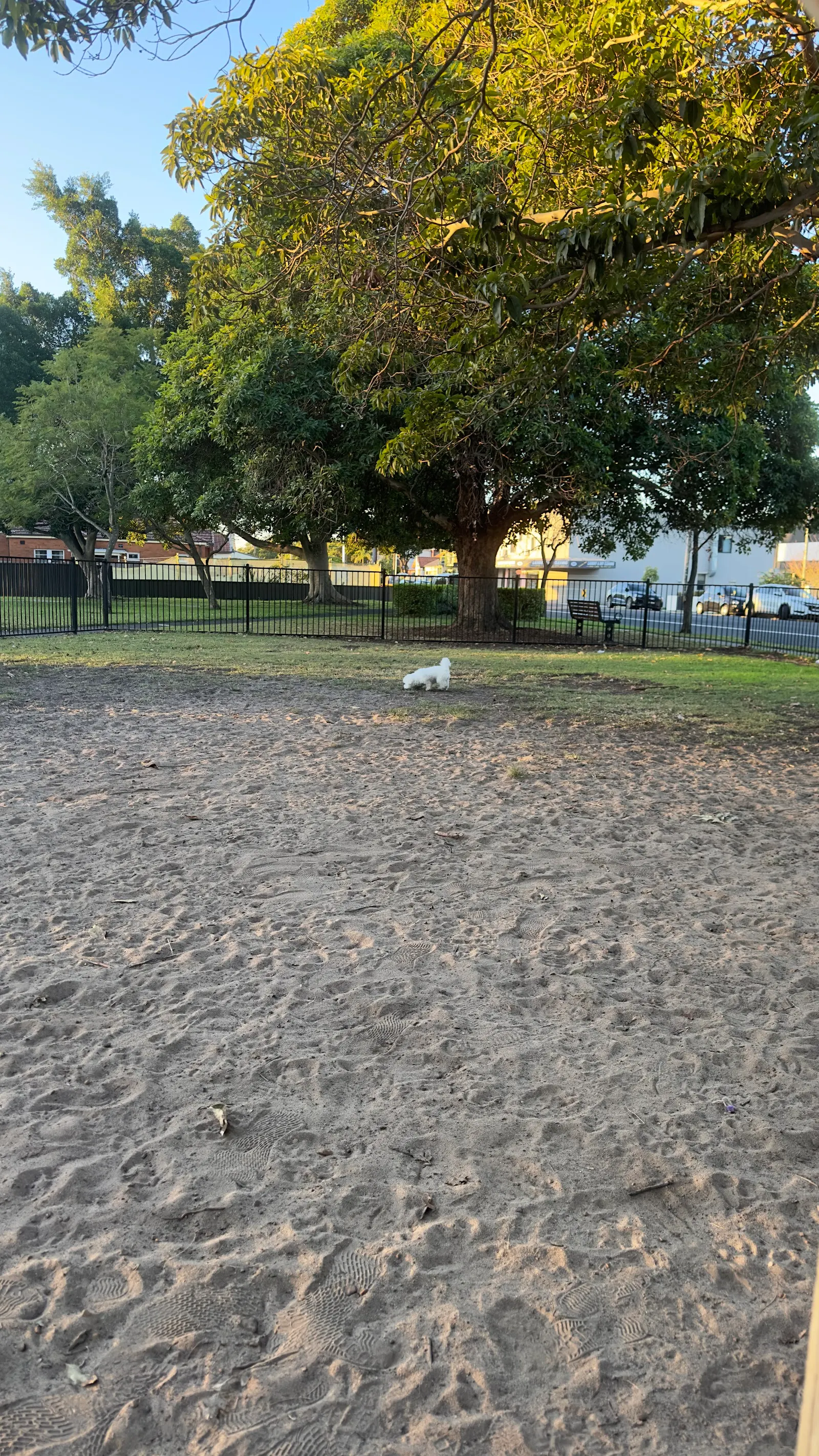 Kendall Reserve Fenced Dog Park dog park