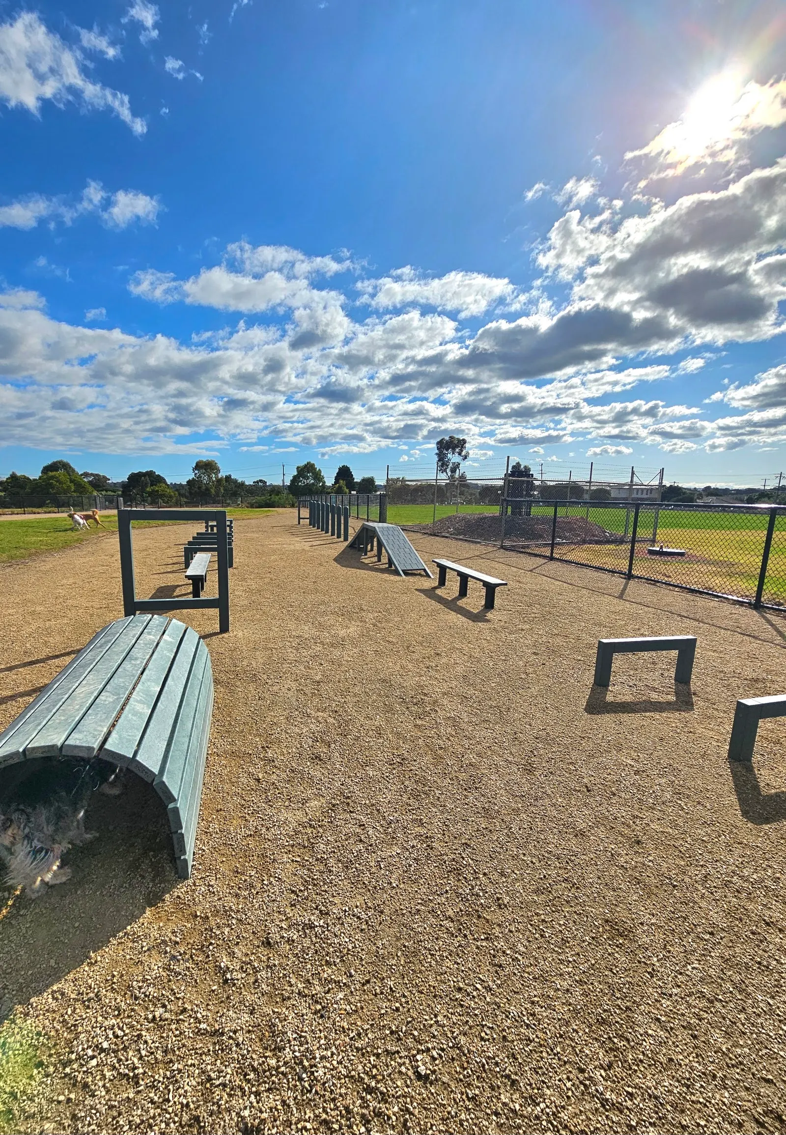 Victory Road Reserve Dog Park dog park