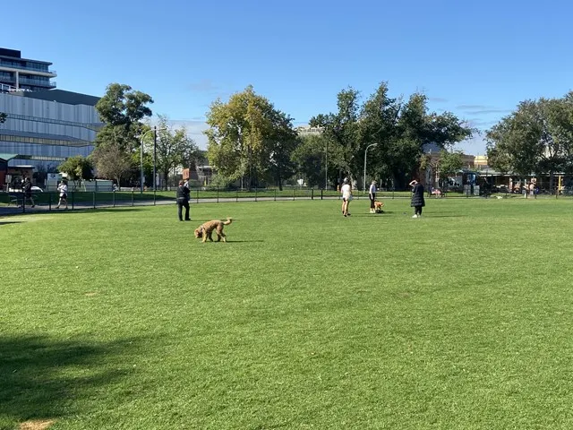 Citizens Park Recreation Reserve dog park