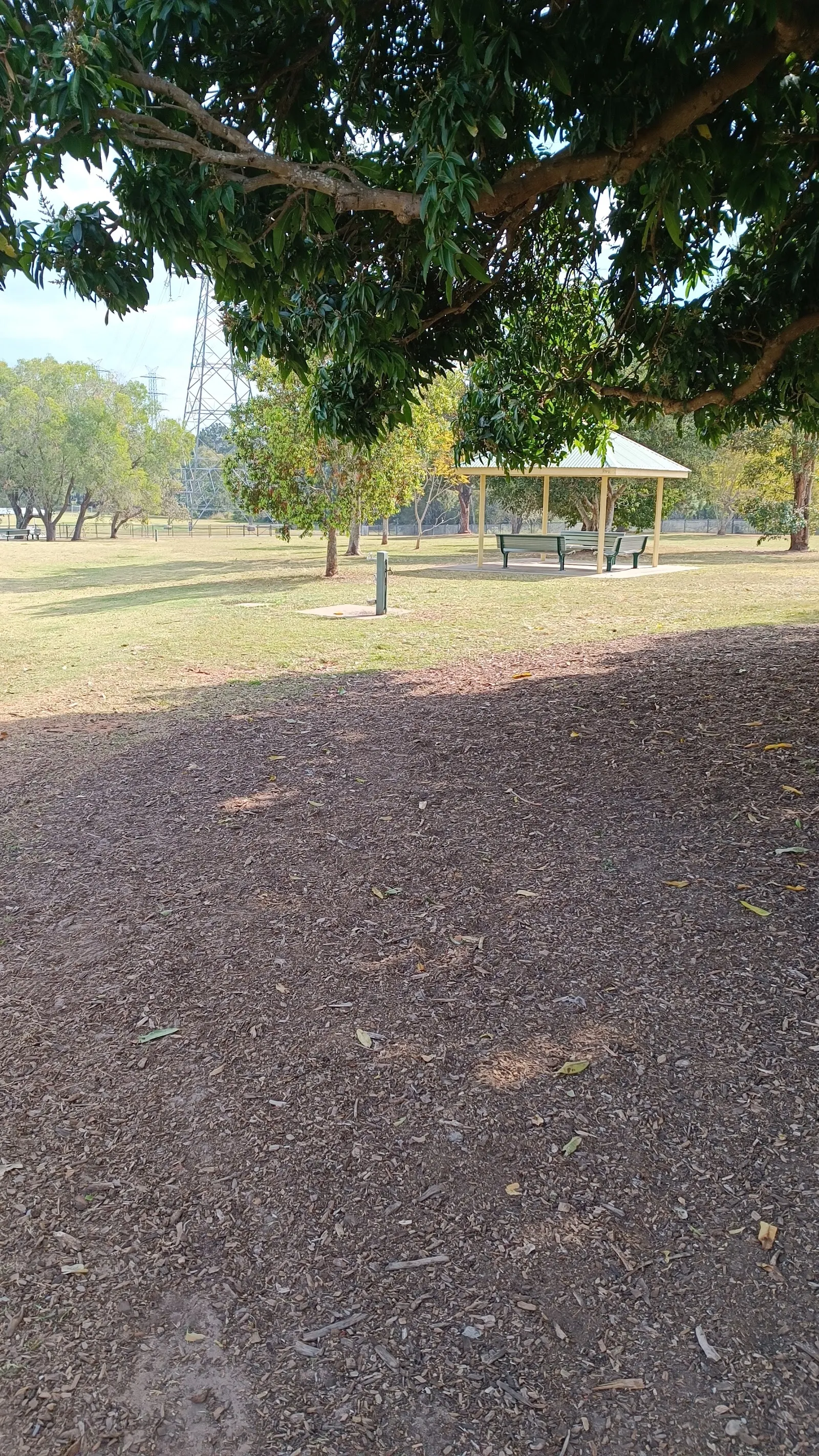 Wally Tate Park Fenced Dog Park dog park