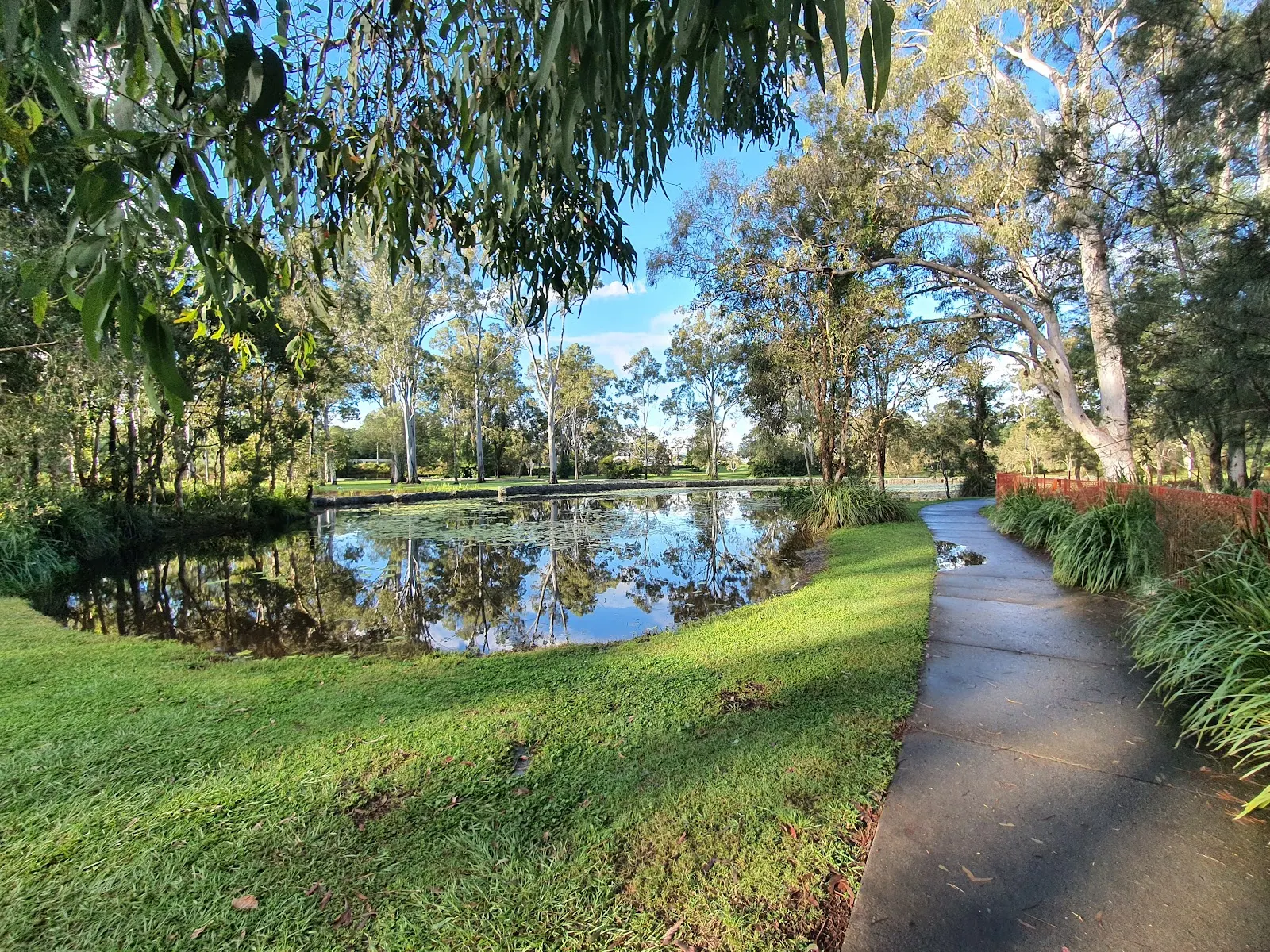 Capalaba Regional Park Fenced Dog Park dog park
