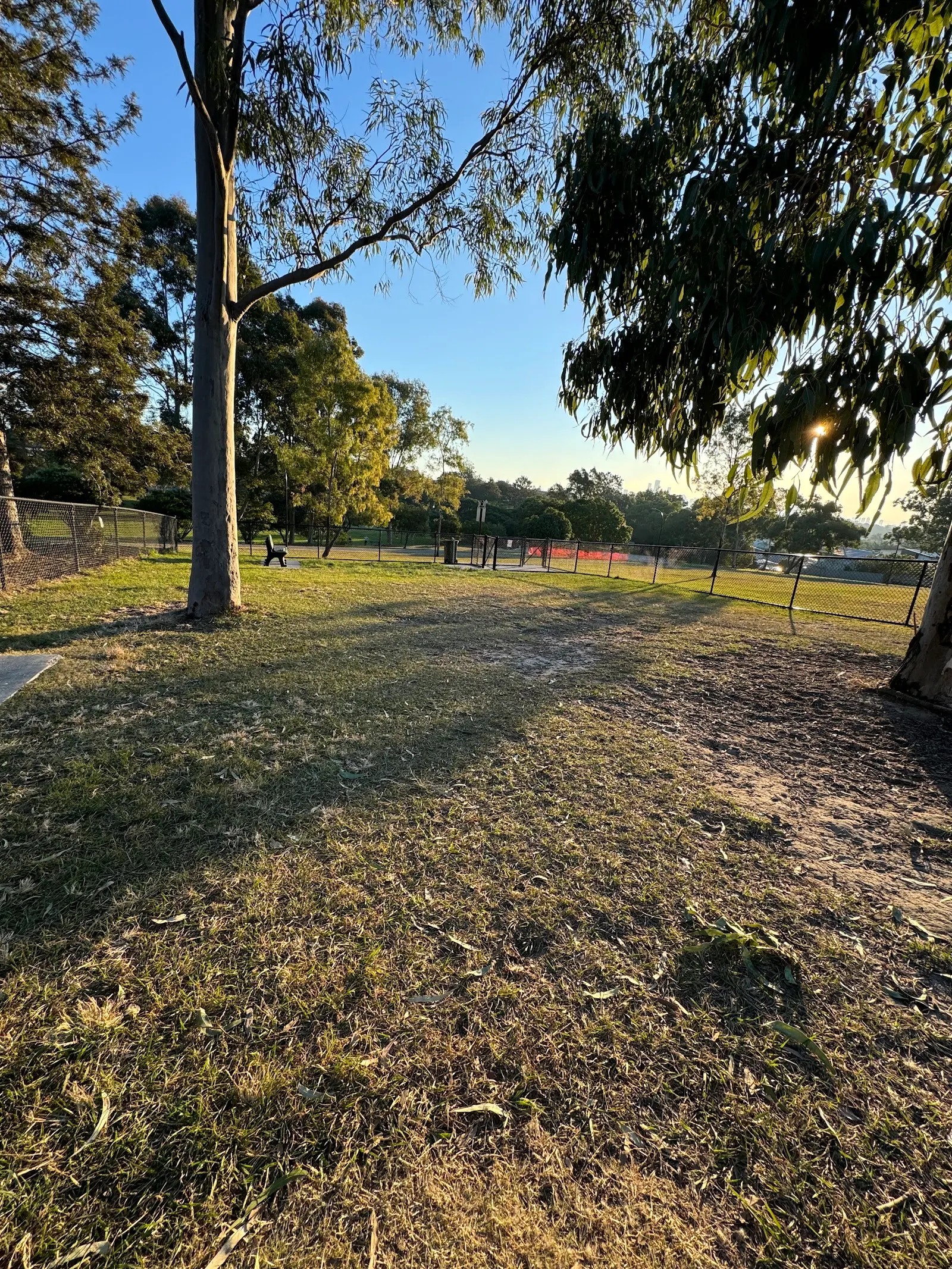 Camp Hill Dog Park dog park