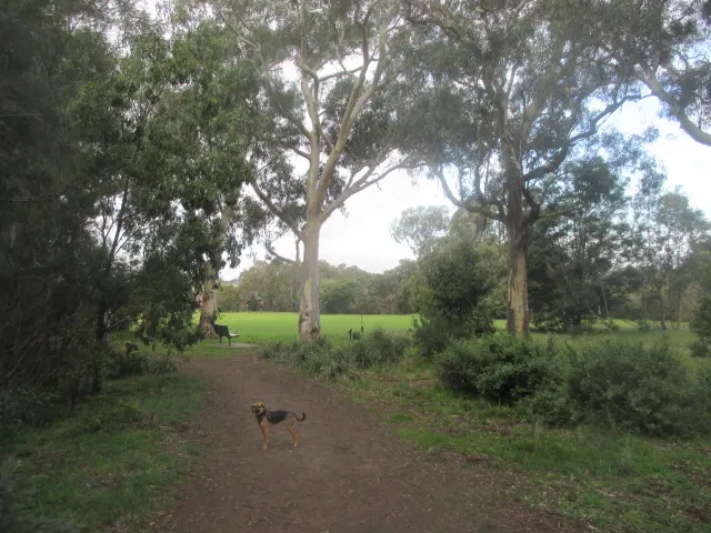 Nettleton Park Dog Off Leash Area dog park