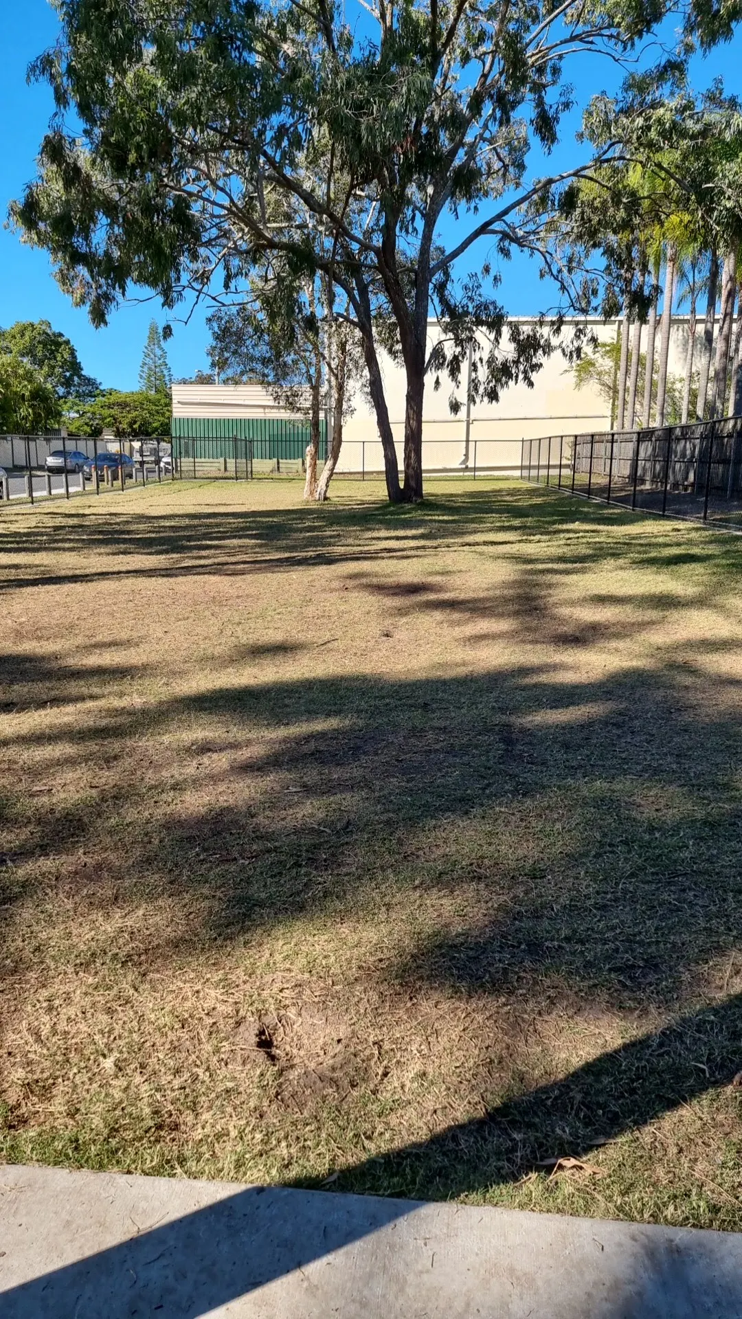 Lady's Dog Park dog park