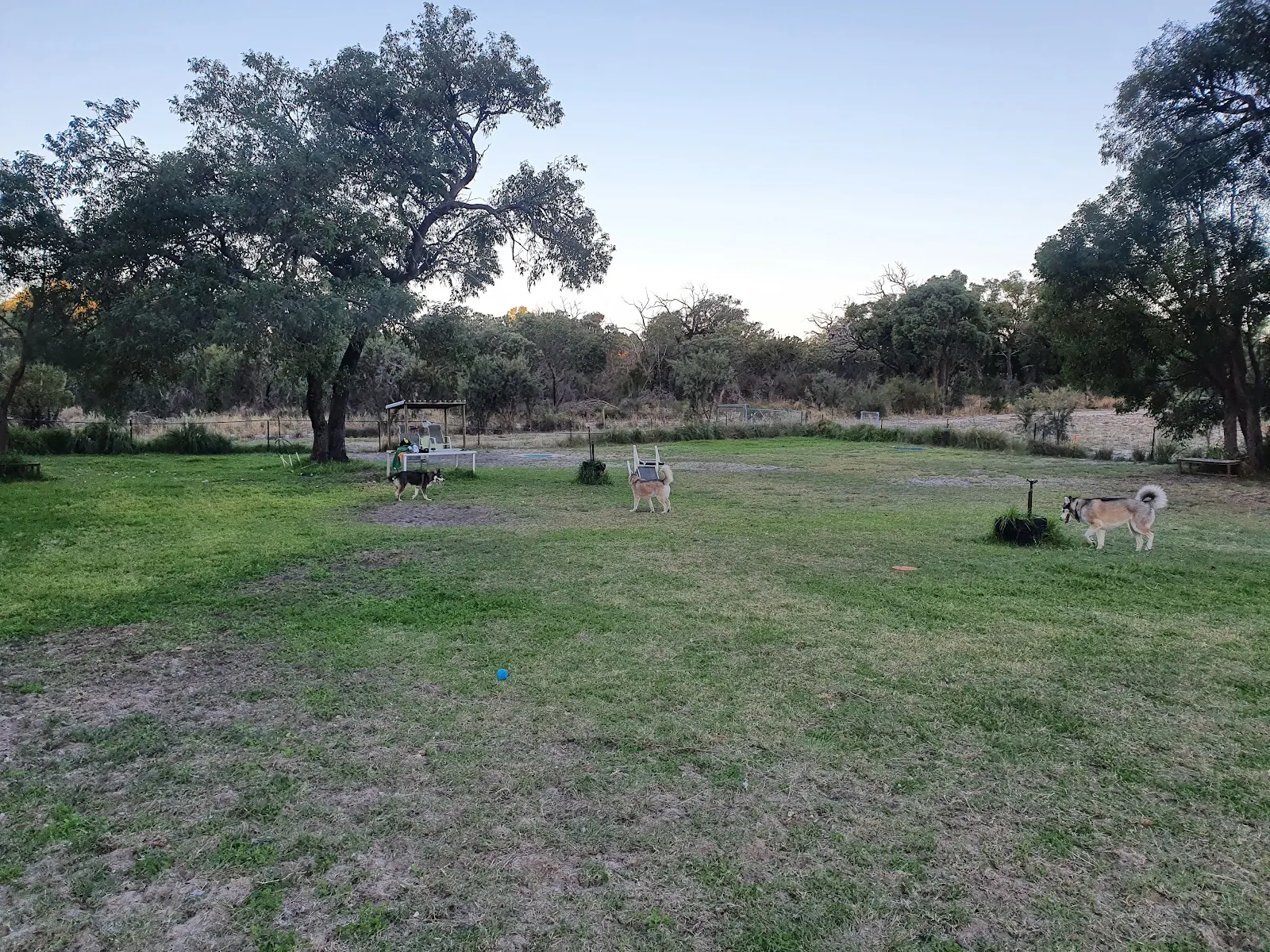Paws On Point dog park