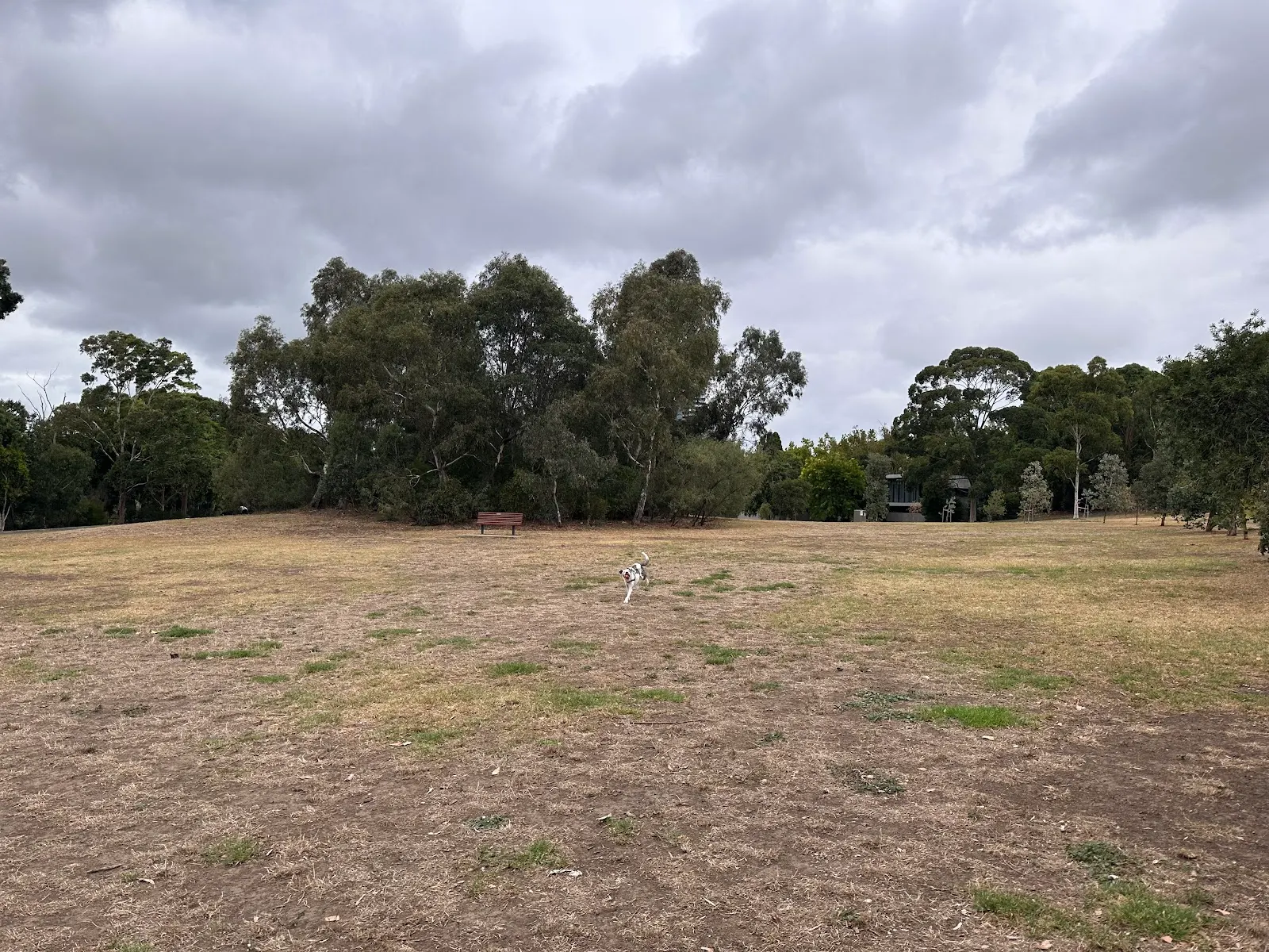 Travancore Park Dog Off Leash Area dog park