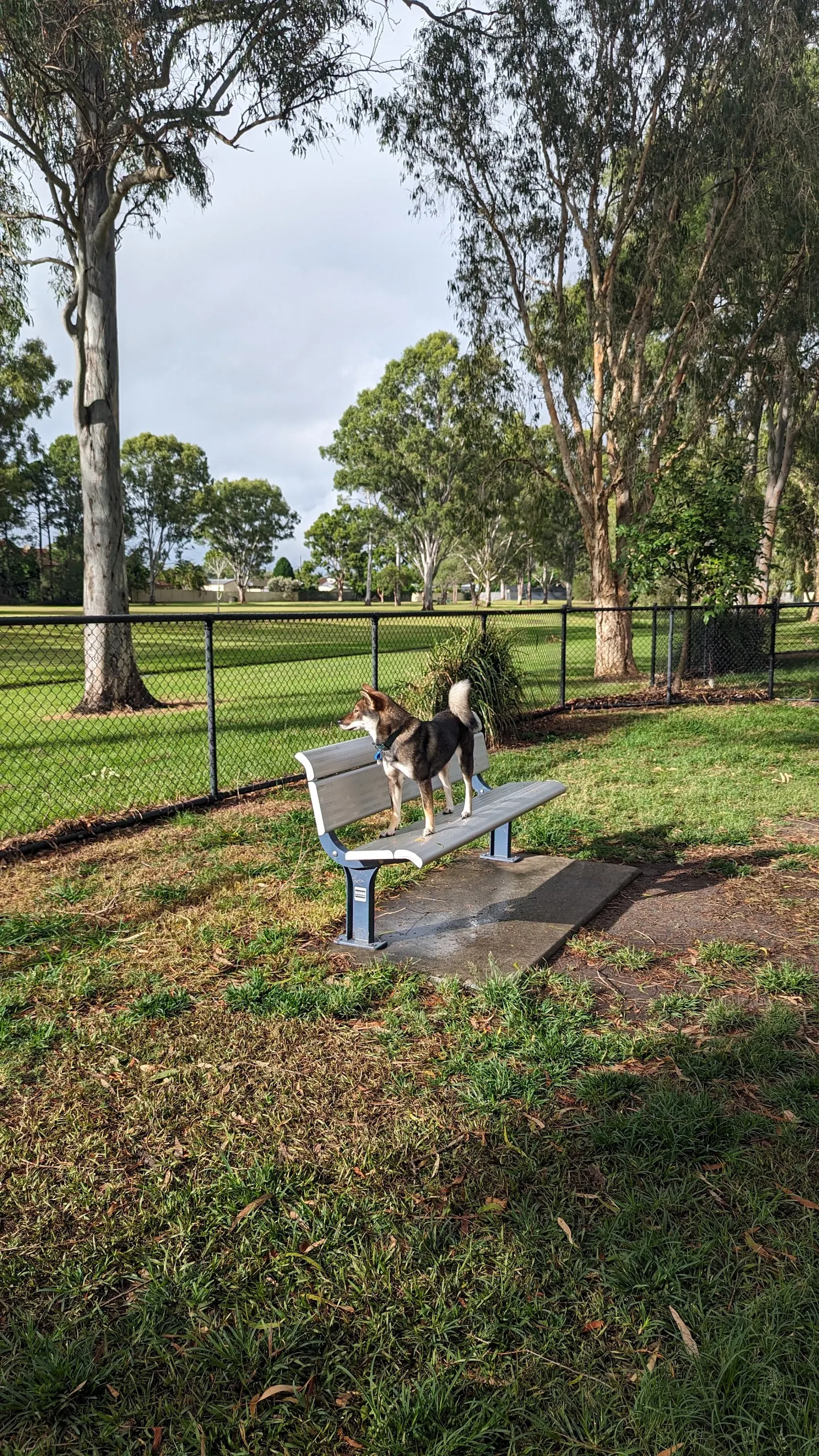 Claverton Drive Park Fenced Dog Park dog park