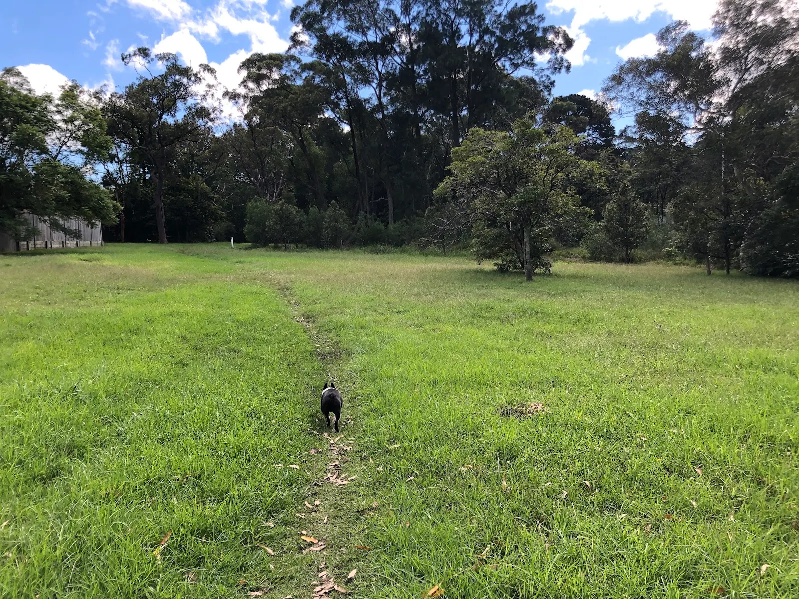 Currie Road Dog Park dog park