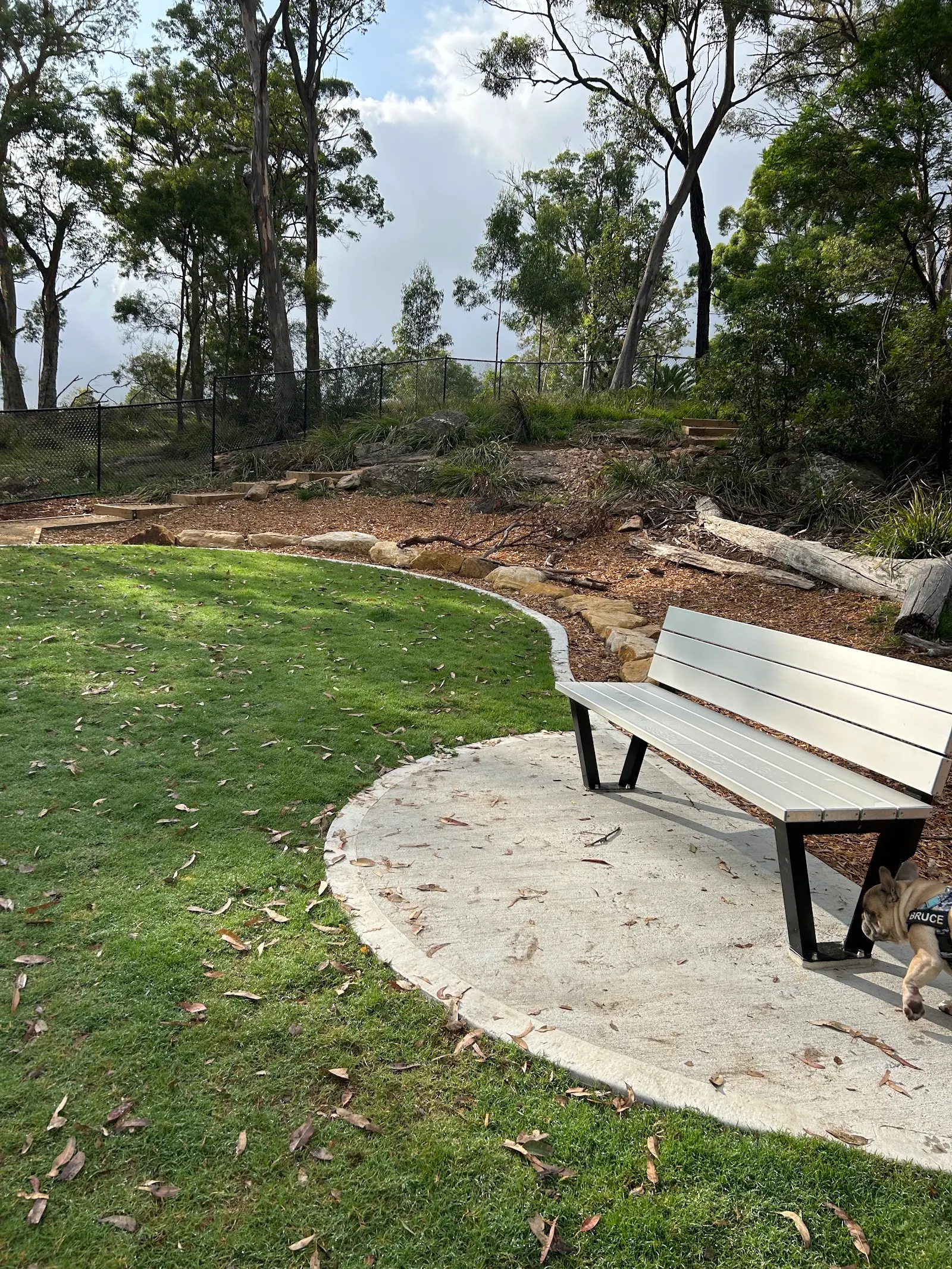 Indwarra Avenue Reserve Fenced Dog Park dog park