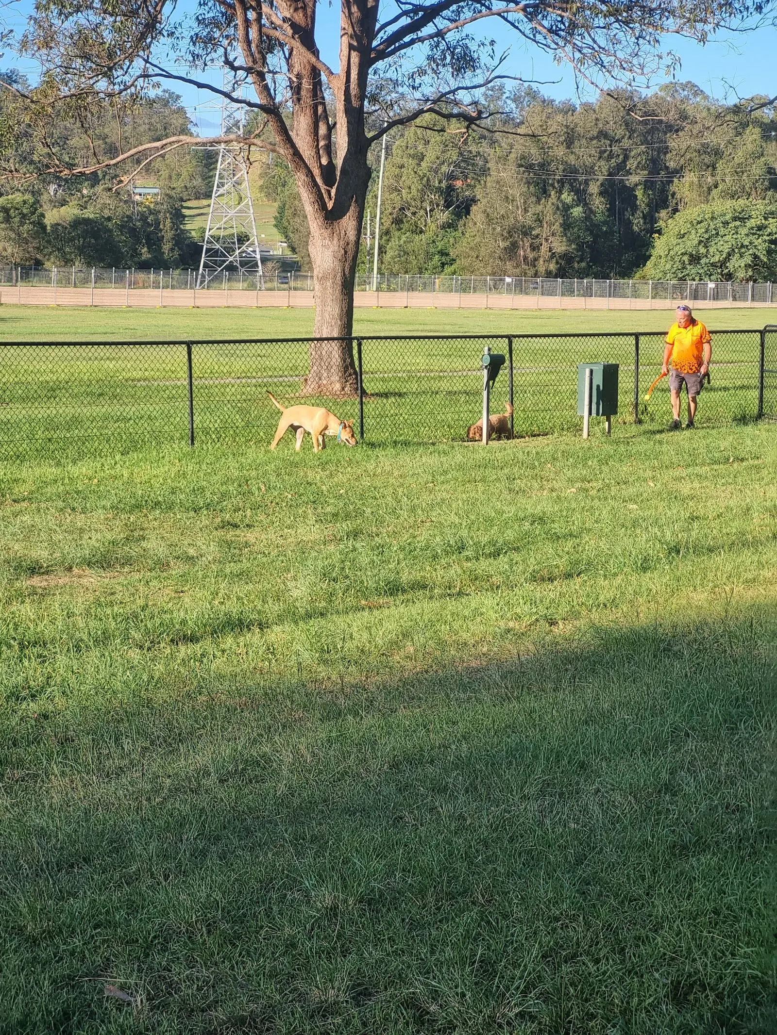 Noyer Park Fenced Dog Park dog park
