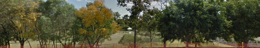 Abbeville Street Park Fenced Dog Park dog park