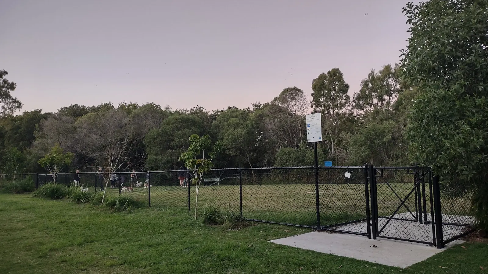 Toombul Dog Park dog park