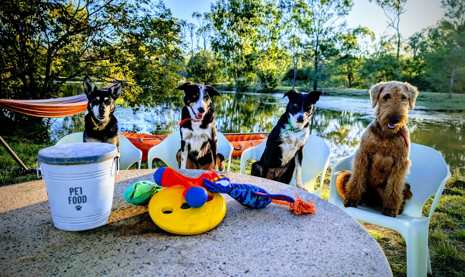 Snakeweed Flats Sniff Space dog park