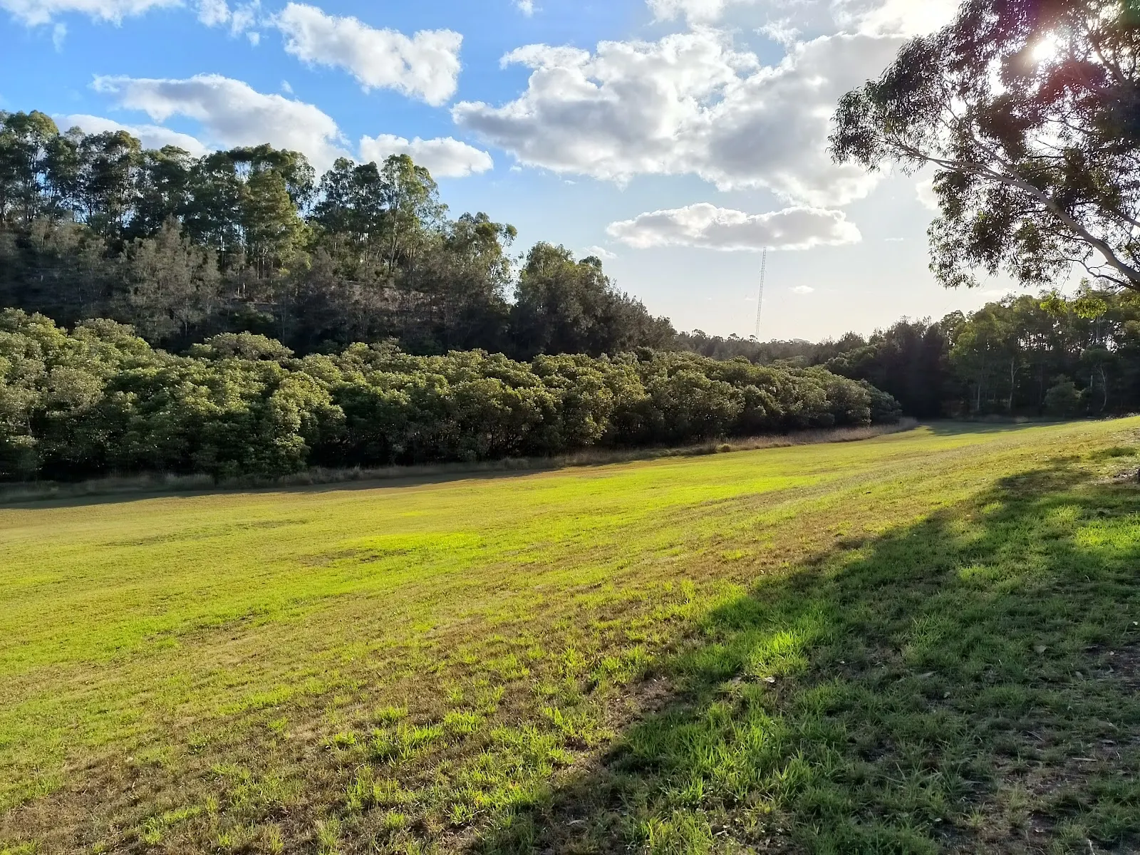 Sydney Olympic Park off-leash area dog park