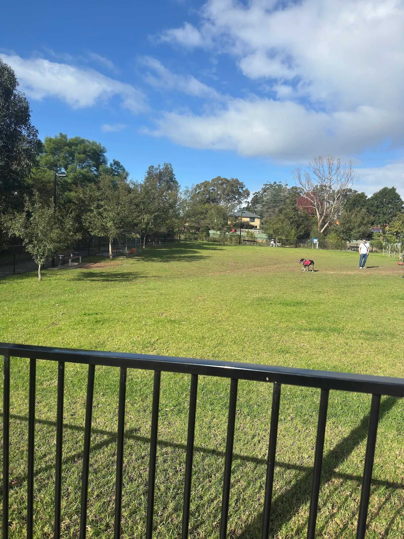 West Epping Park Fenced Dog Park dog park