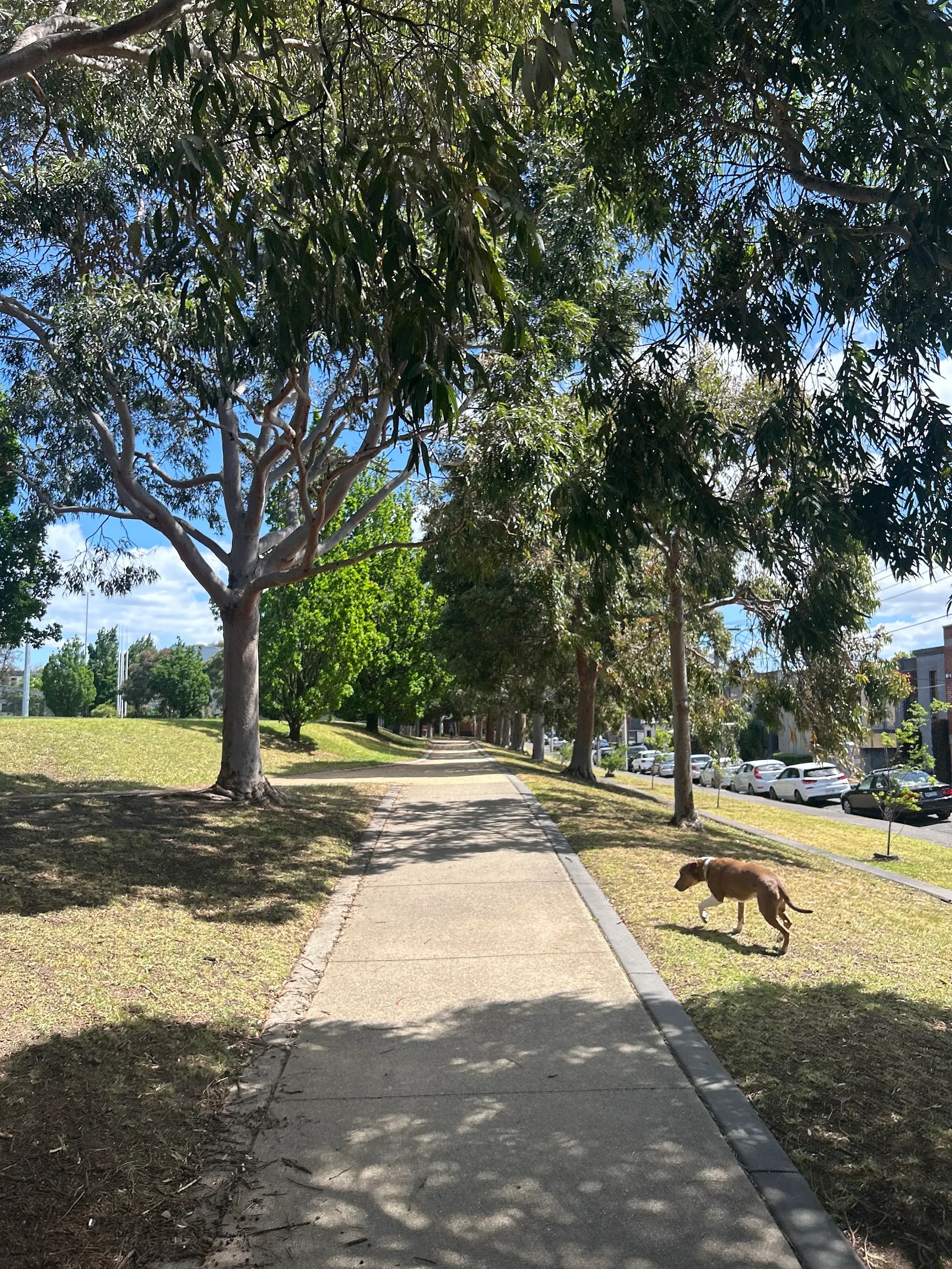 Orrong Romanis Reserve Dog Off Leash Area dog park