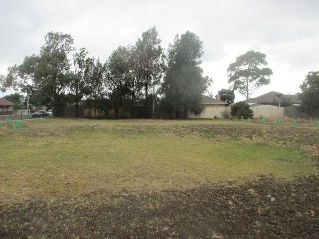 Roussac Reserve Fenced Dog Park dog park