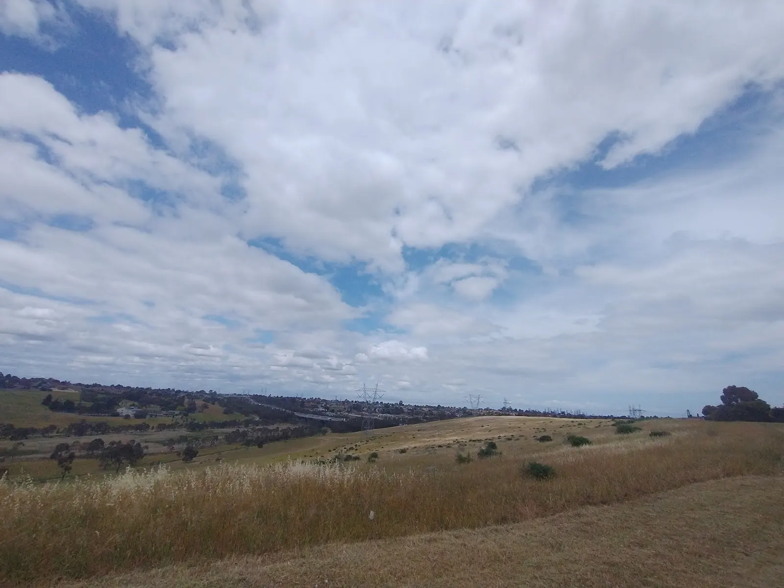 Ginifer Reserve Dog Off Leash Area dog park