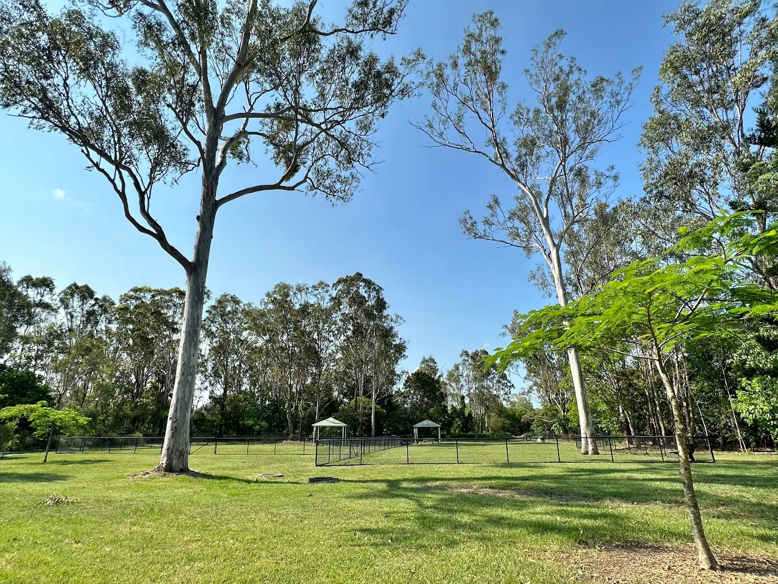 Glenefer Street Park Fenced Dog Park dog park